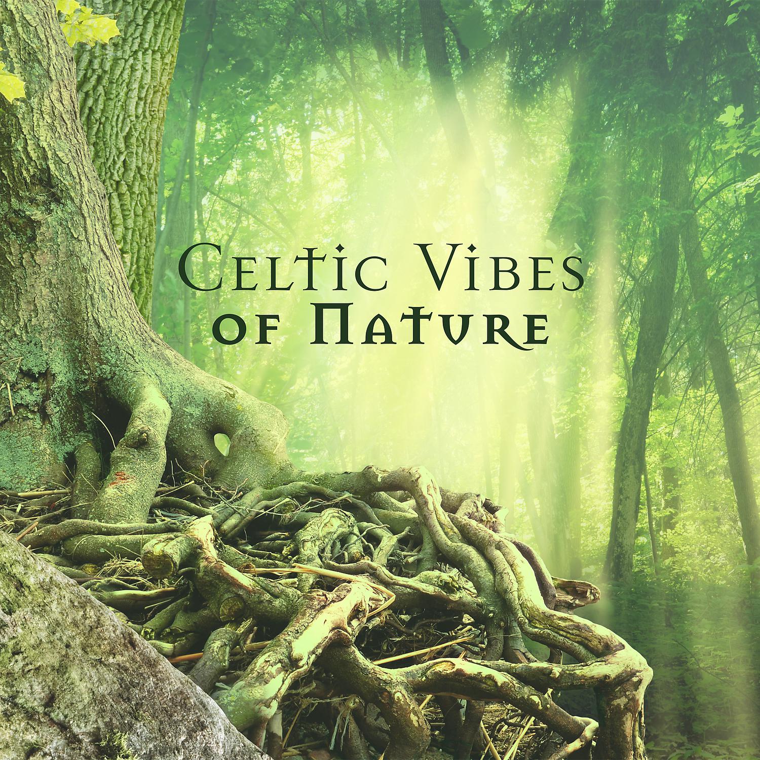 Постер альбома Celtic Vibes of Nature: Mystical & Magic Playlist Music 2022