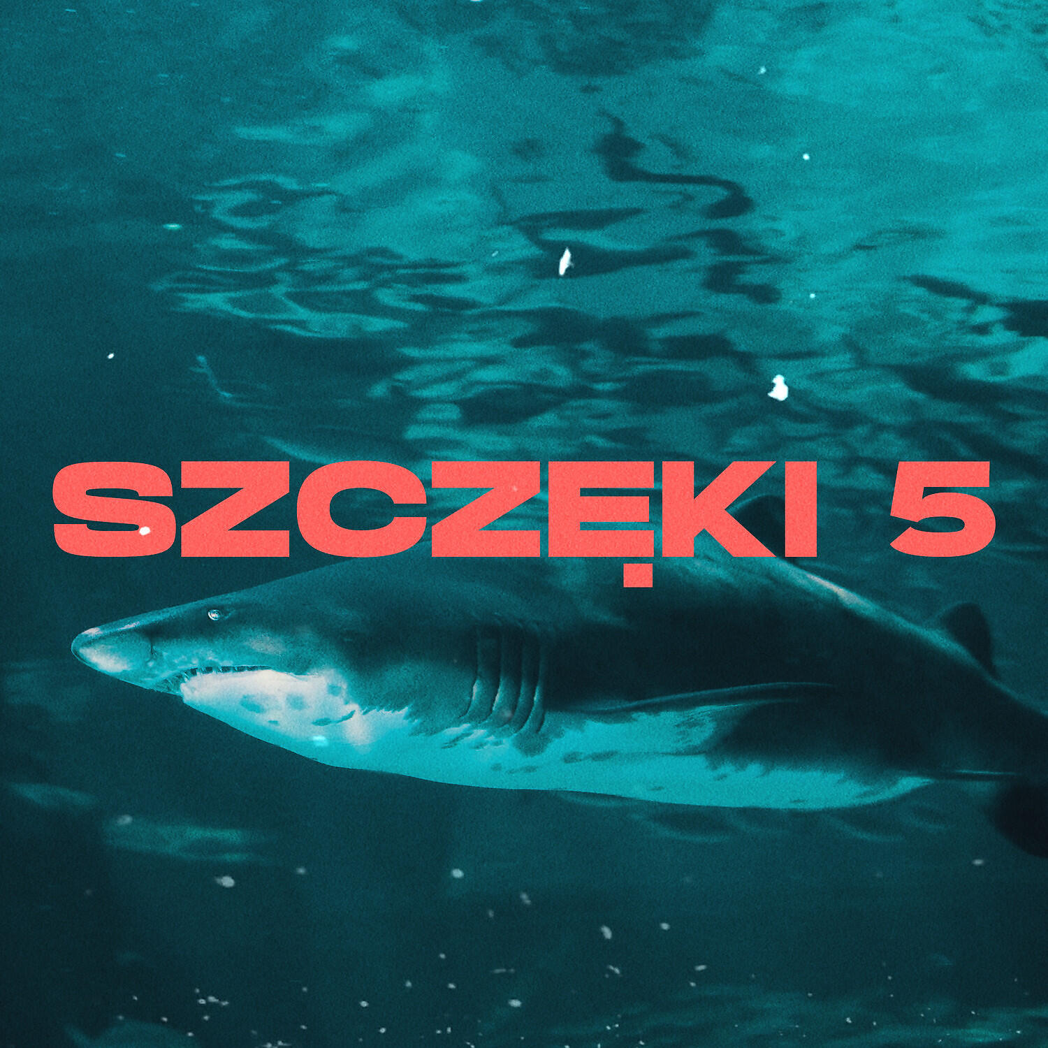 Aloha Opus Magnum - Szczeki 5