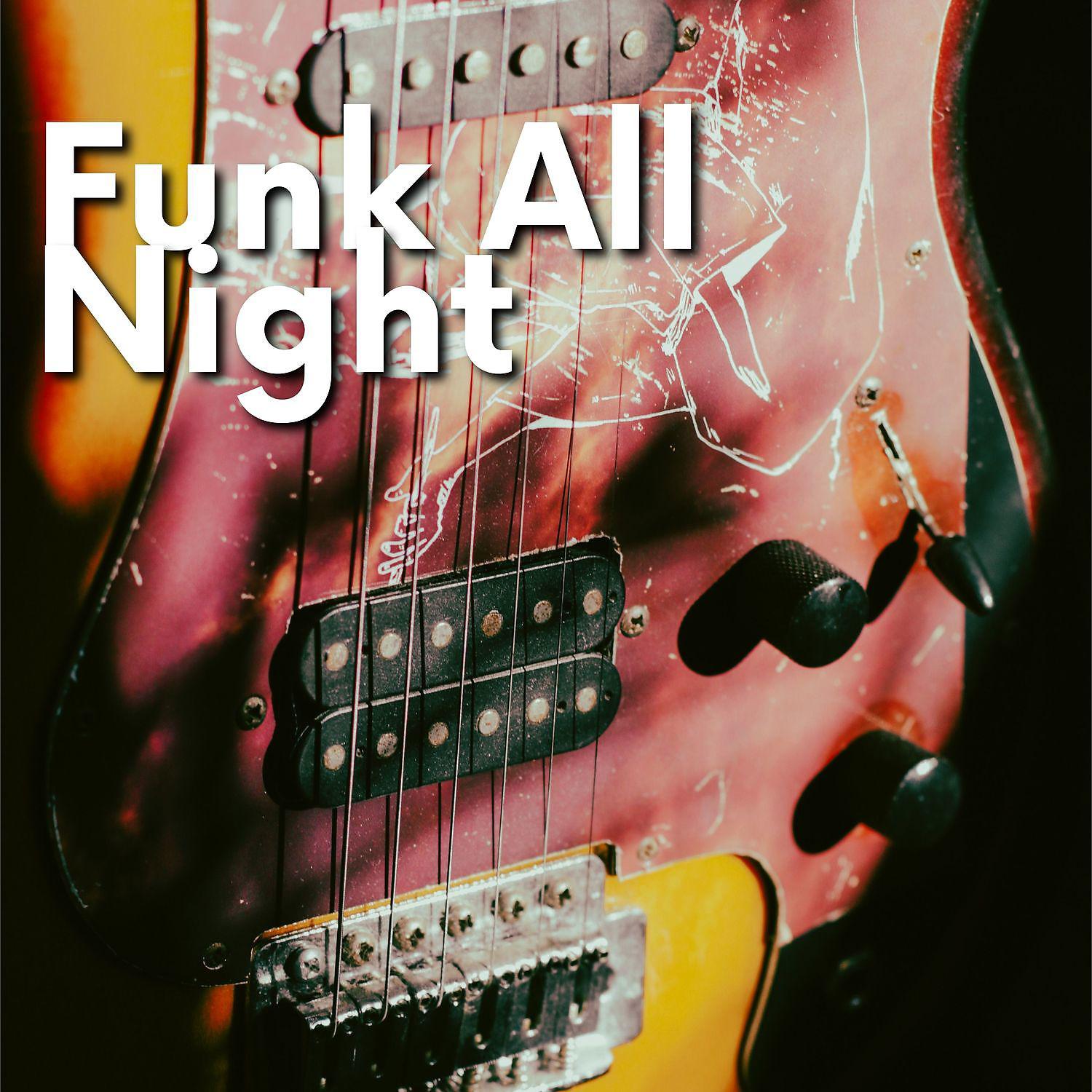 Постер альбома Funk All Night