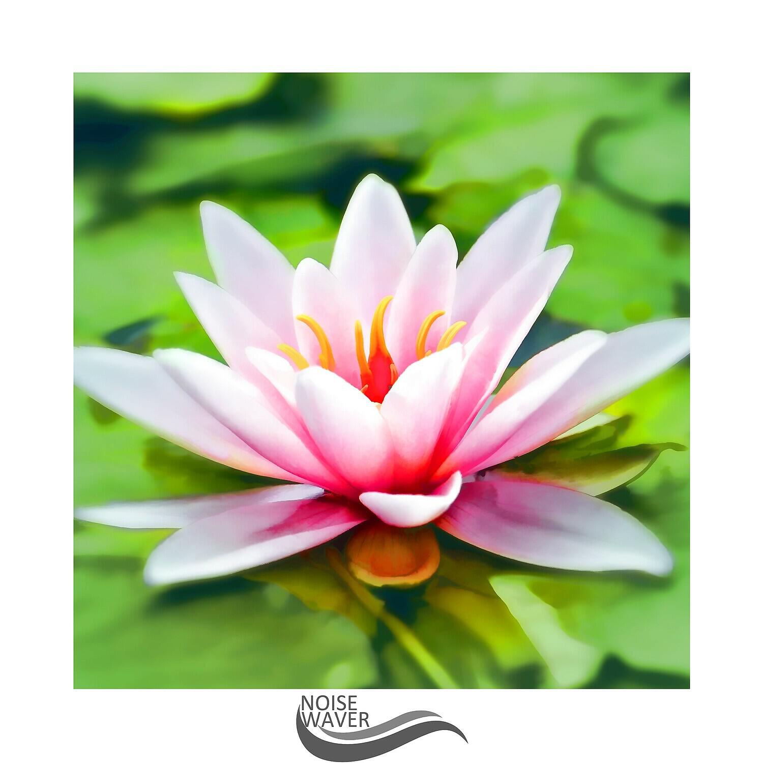 Deep Meditation Spa - Wind Pink Noise
