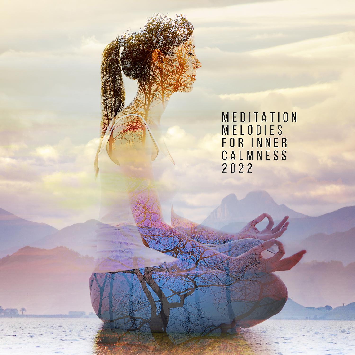 Постер альбома Meditation Melodies for Inner Calmness 2022