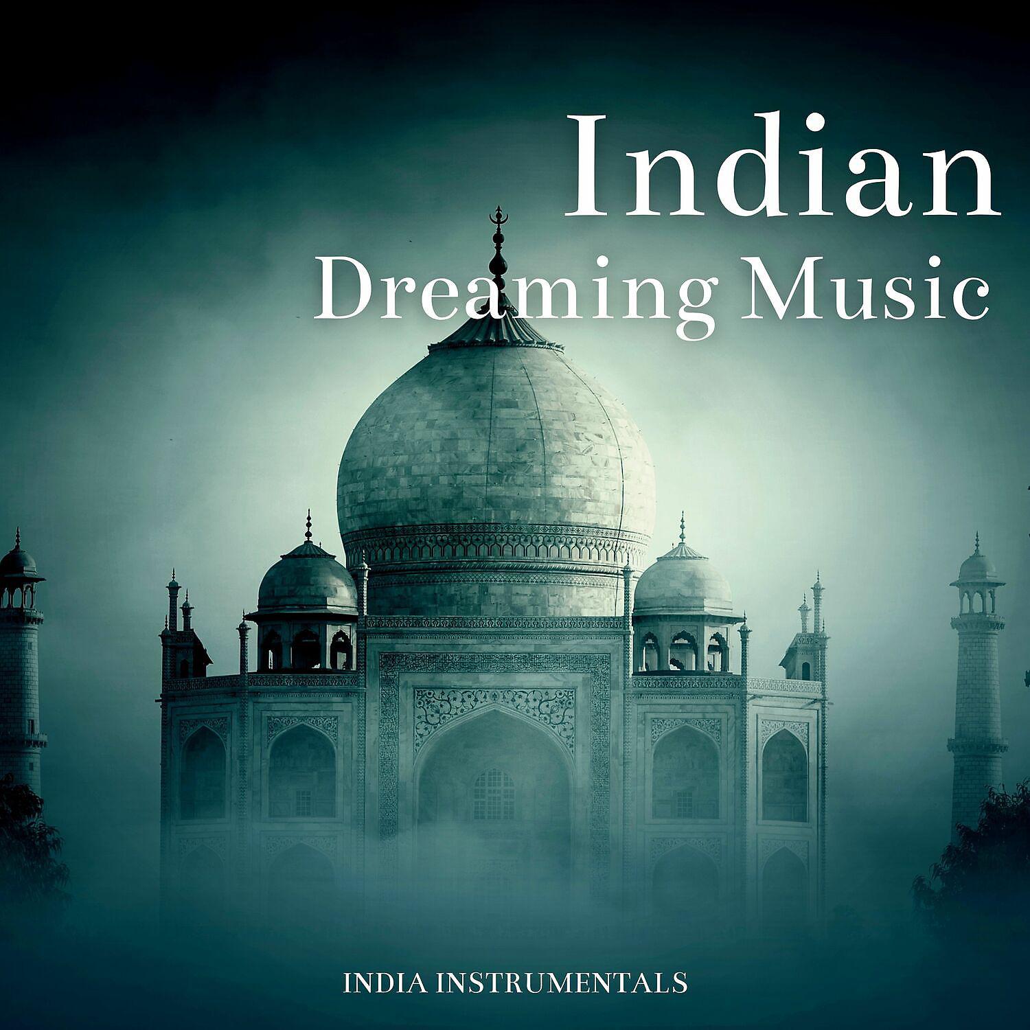 Постер альбома Indian Dreaming Music