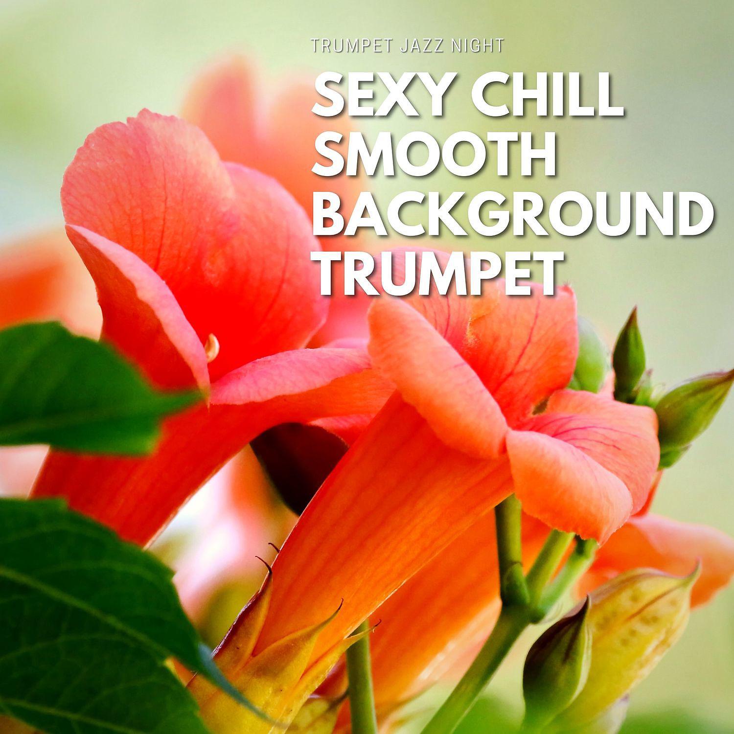 Постер альбома Sexy Chill Smooth Background Trumpet