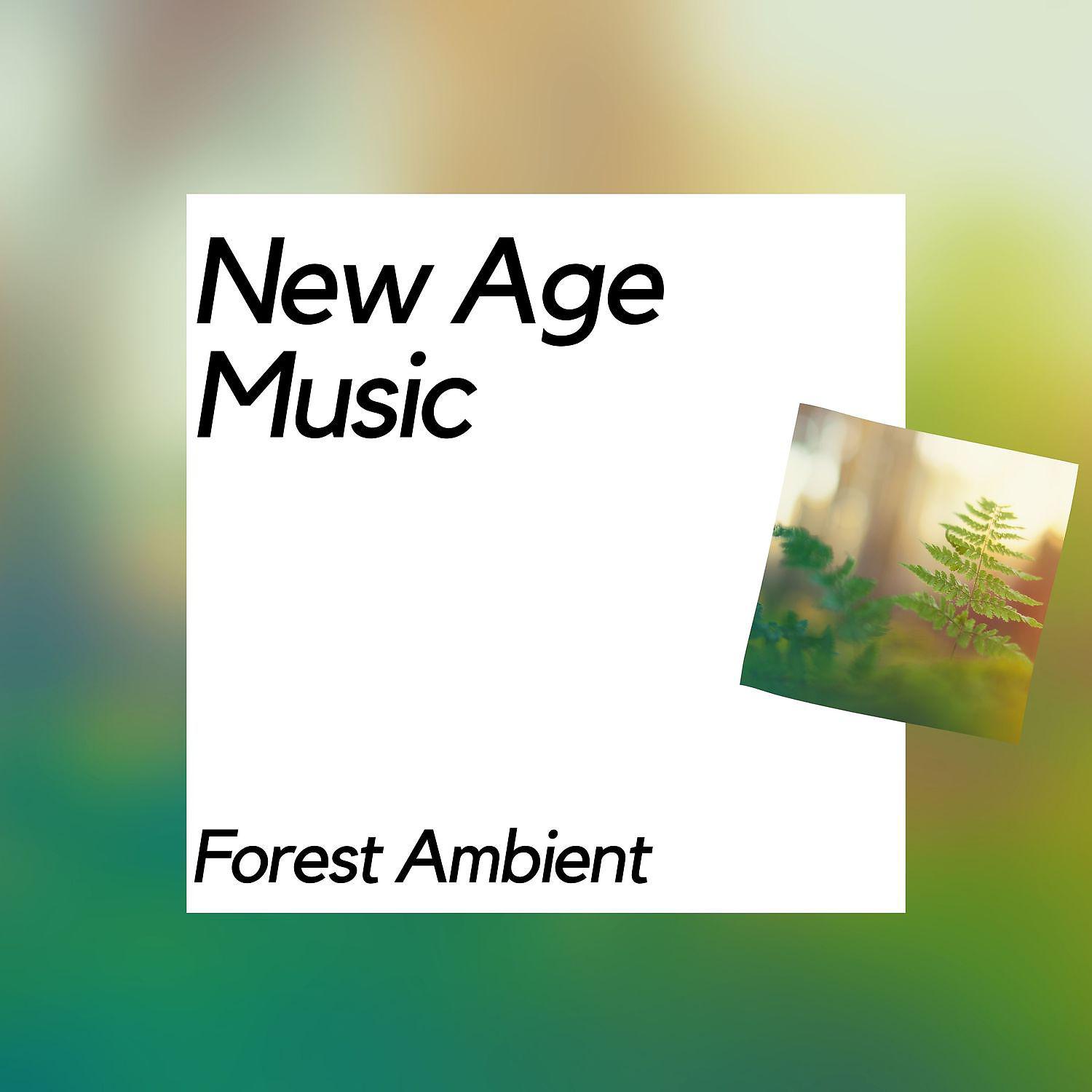 Постер альбома New Age Music, Forest Ambient