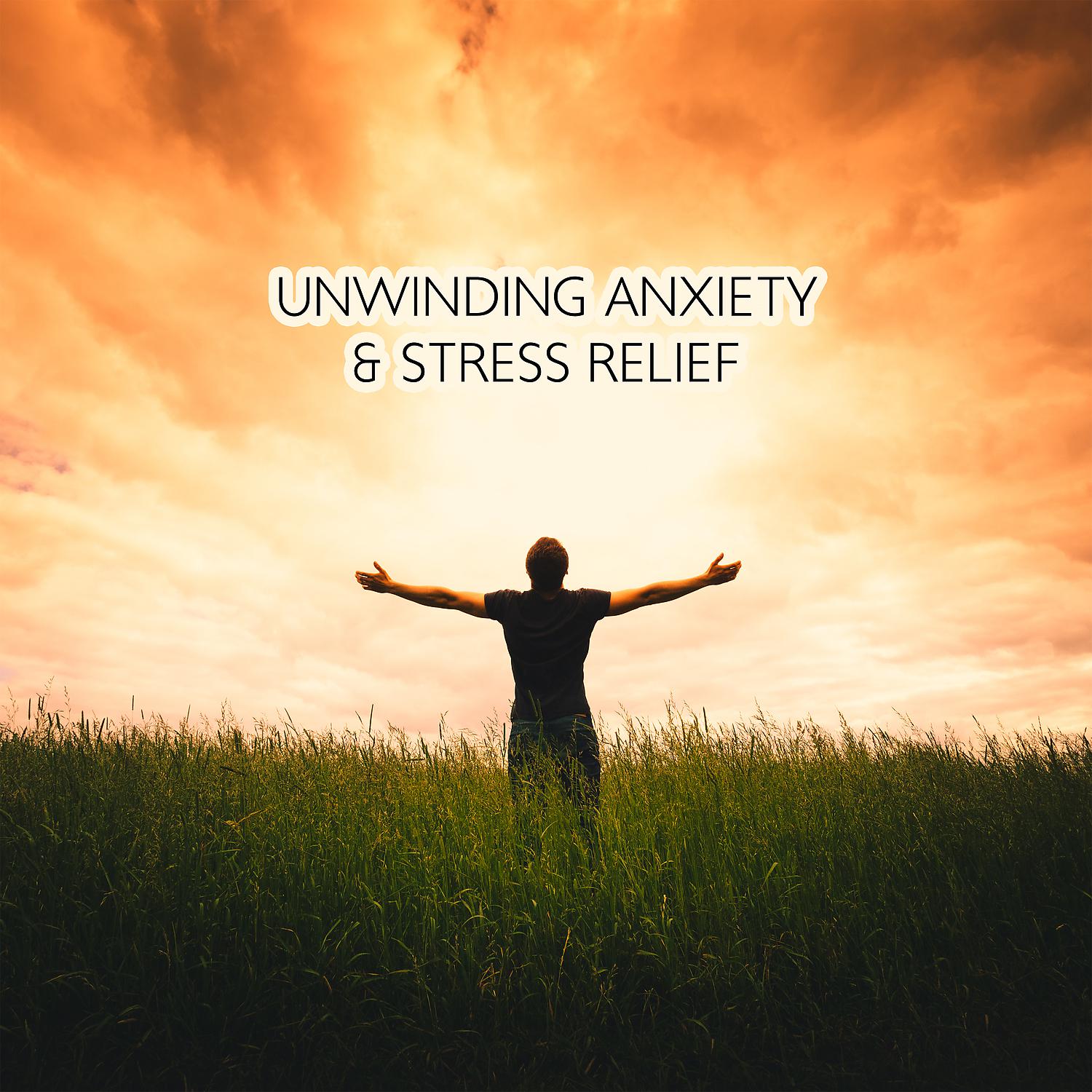 Постер альбома Unwinding Anxiety & Stress Relief Mindfulness Meditation
