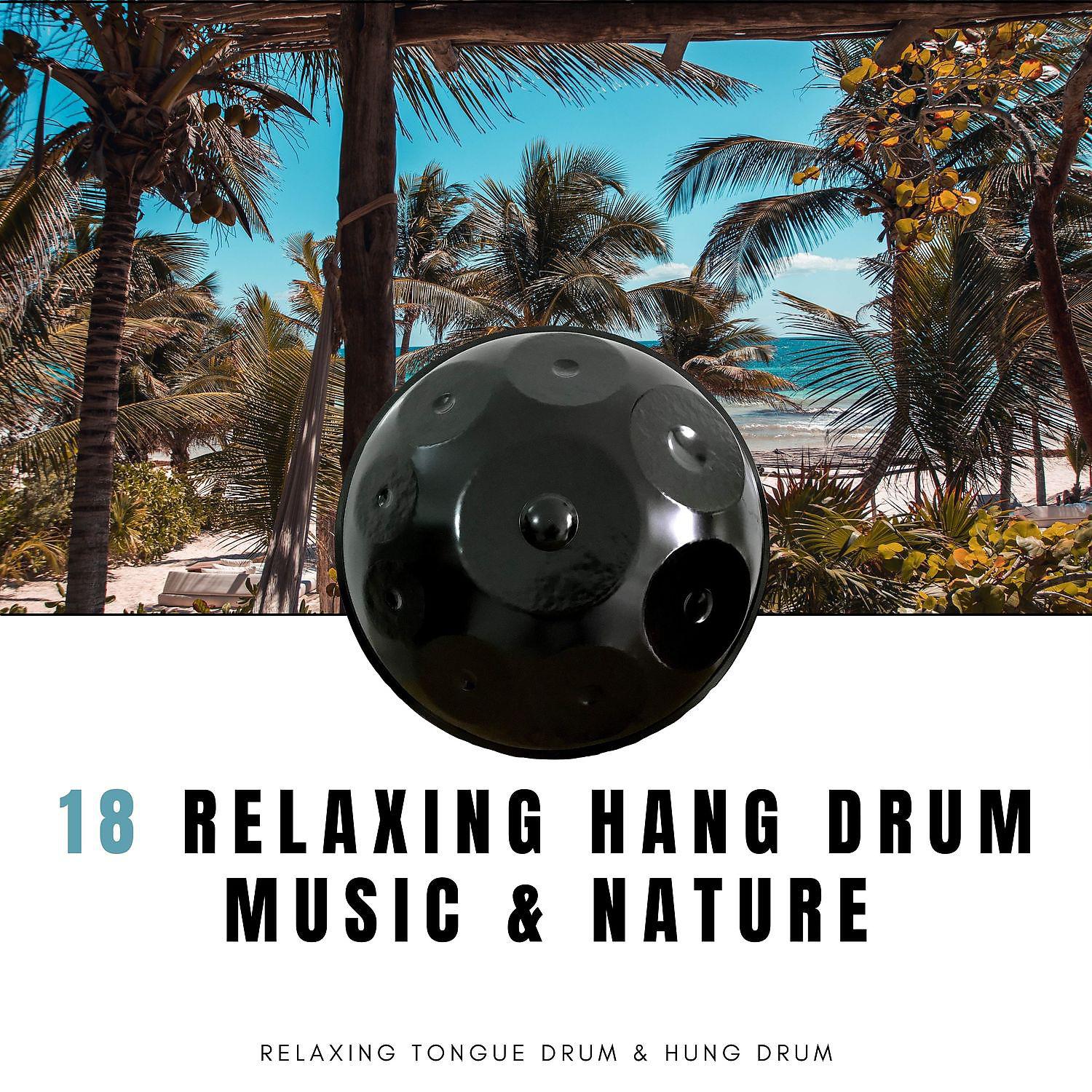 Постер альбома 18 Relaxing Hang Drum Music & Nature