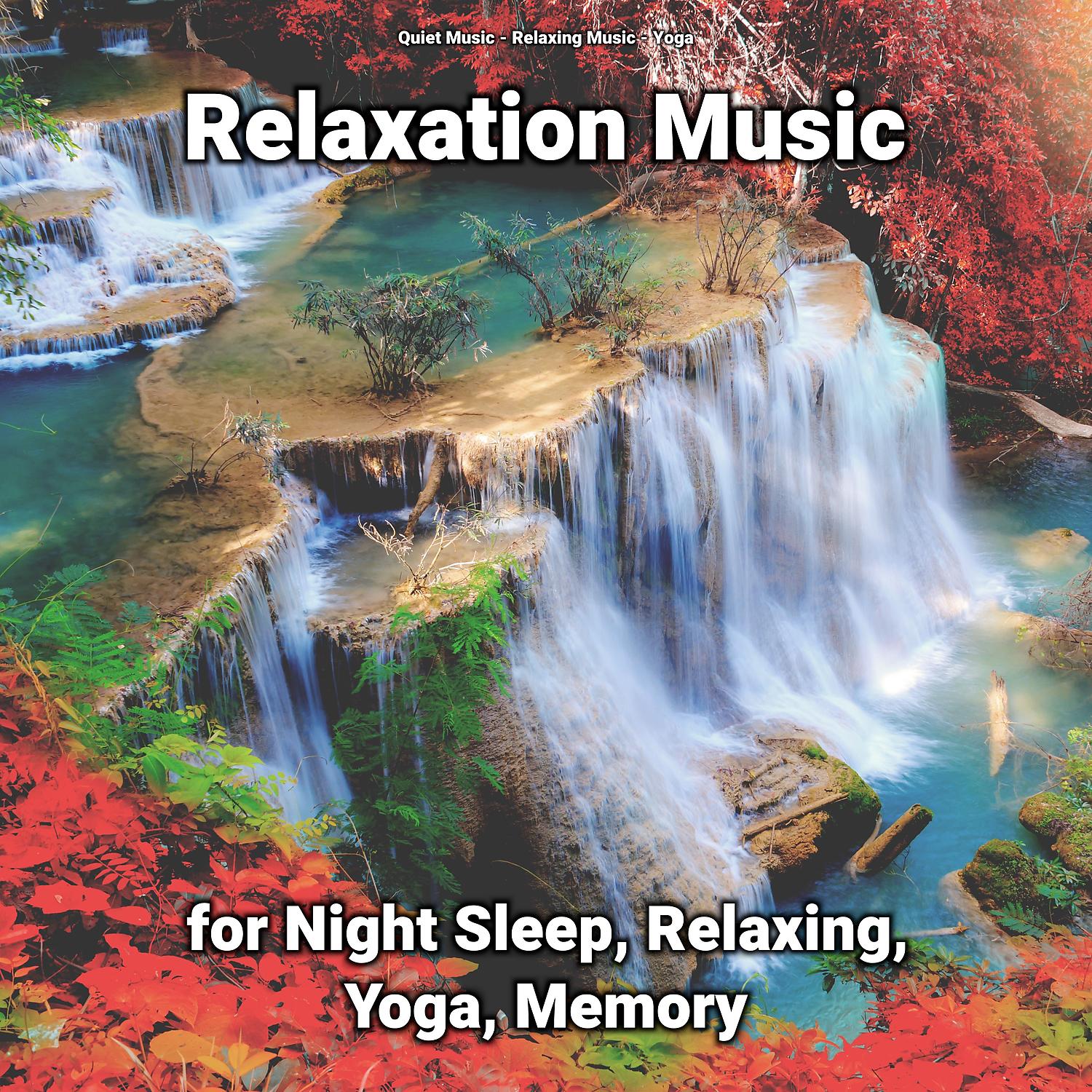 Постер альбома Relaxation Music for Night Sleep, Relaxing, Yoga, Memory