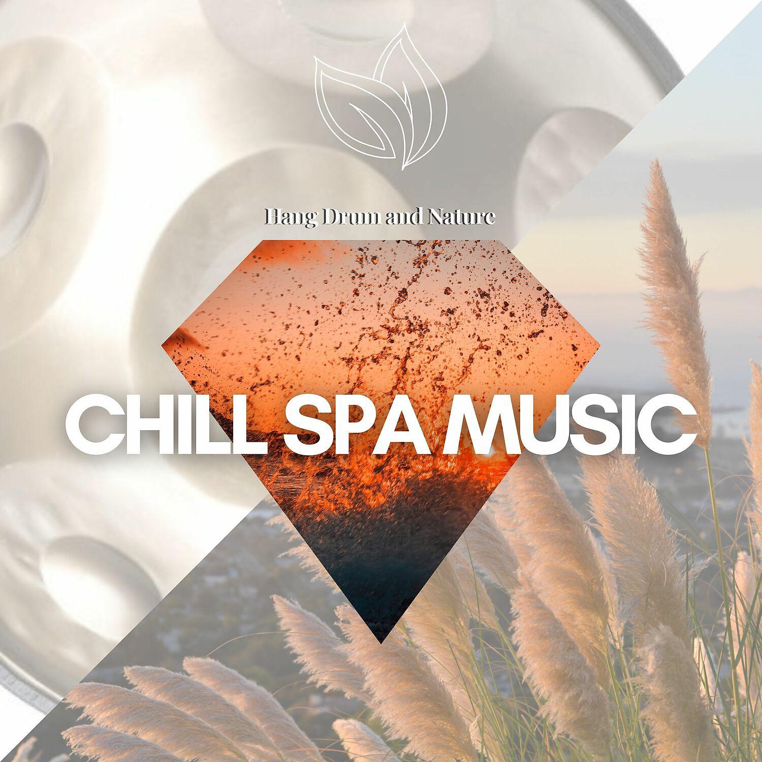 Постер альбома Chill Spa Music (Hang Drumming & Nature)