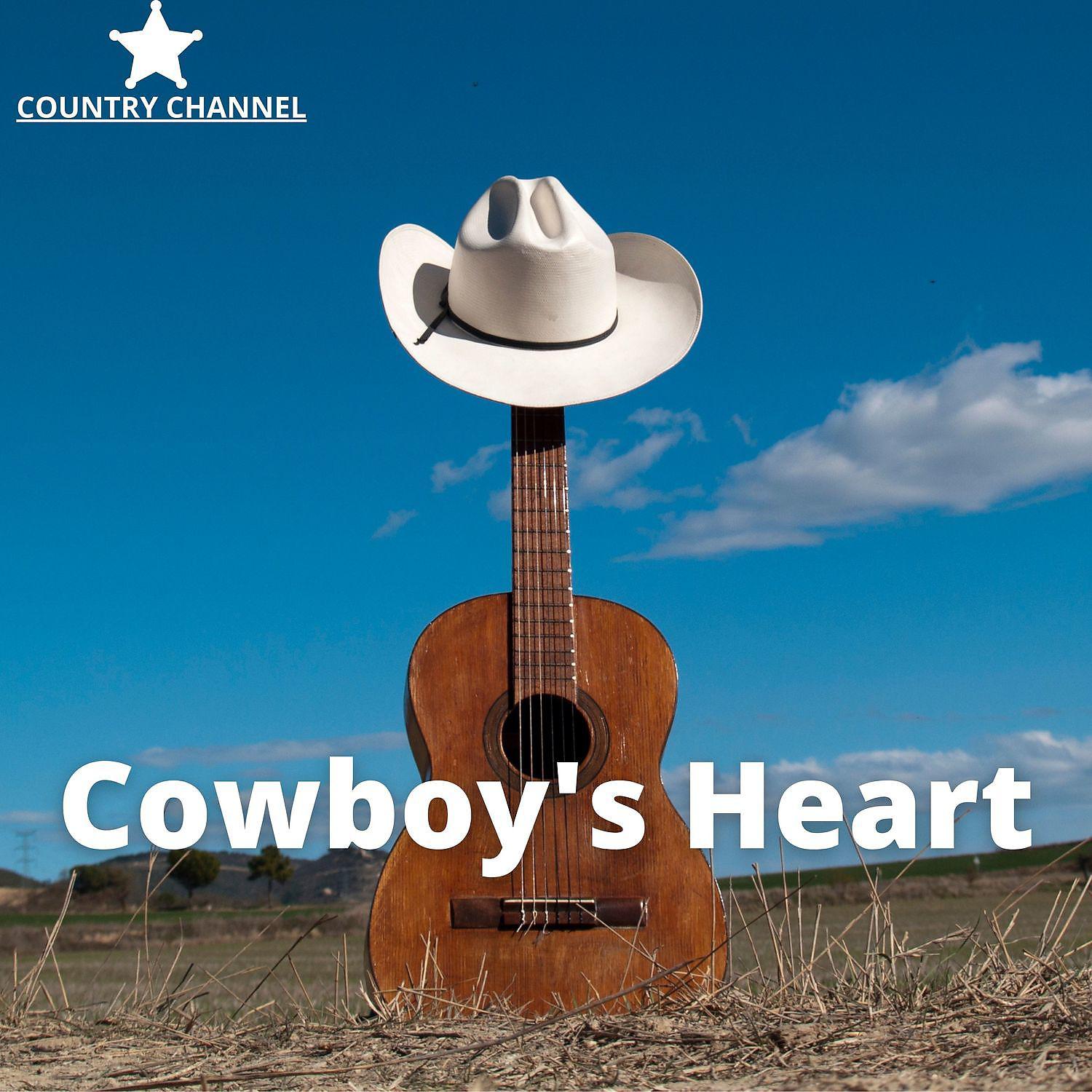Постер альбома Cowboy's Heart (Instrumental Songs)