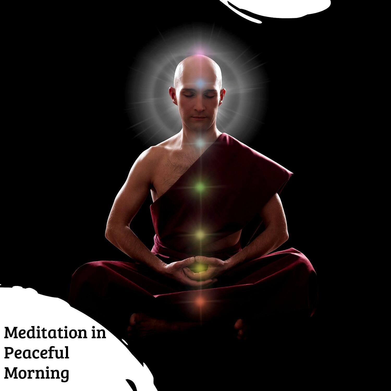 Постер альбома Meditation in Peaceful Morning