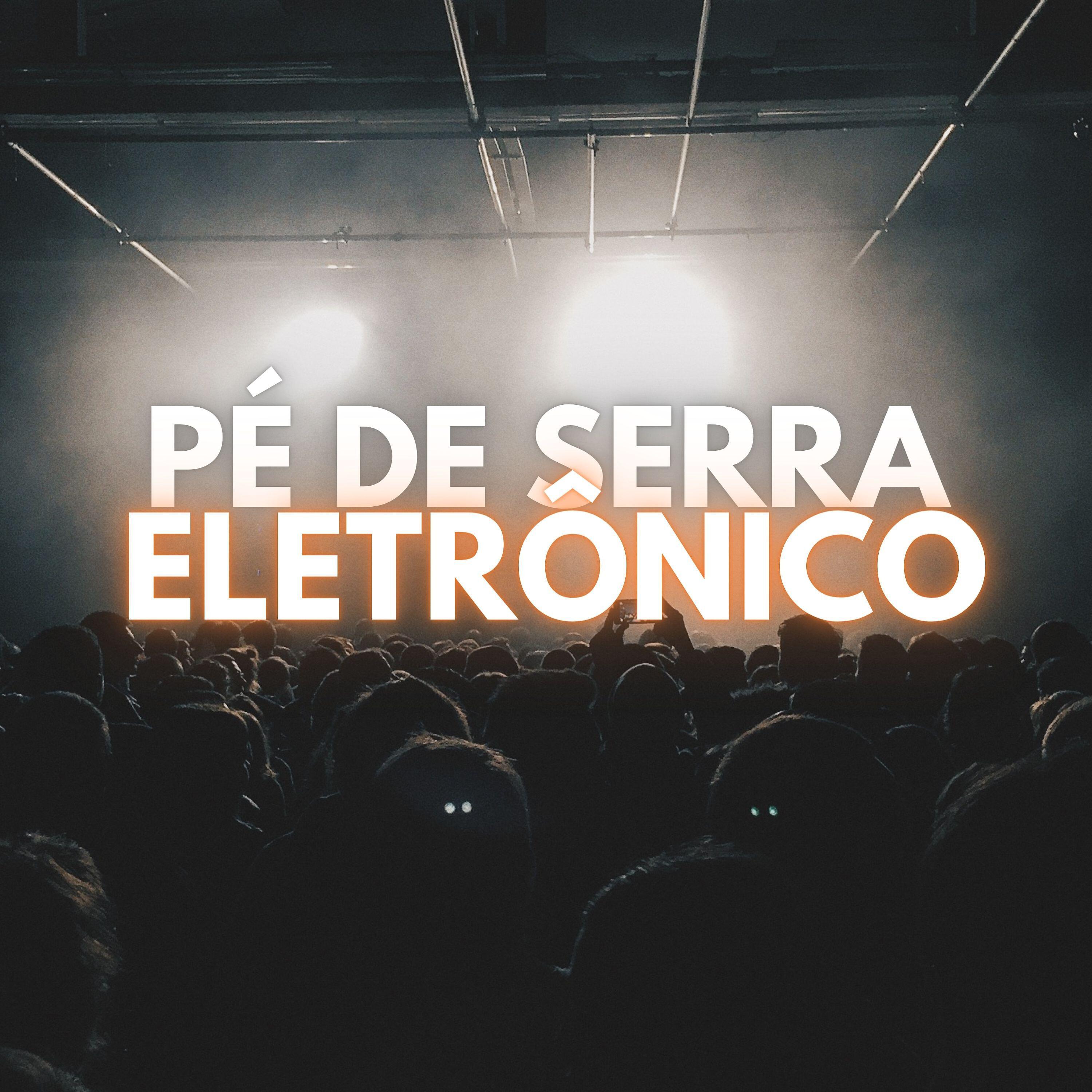 Rodriggo Júnior - Pé de Serra Eletrônico