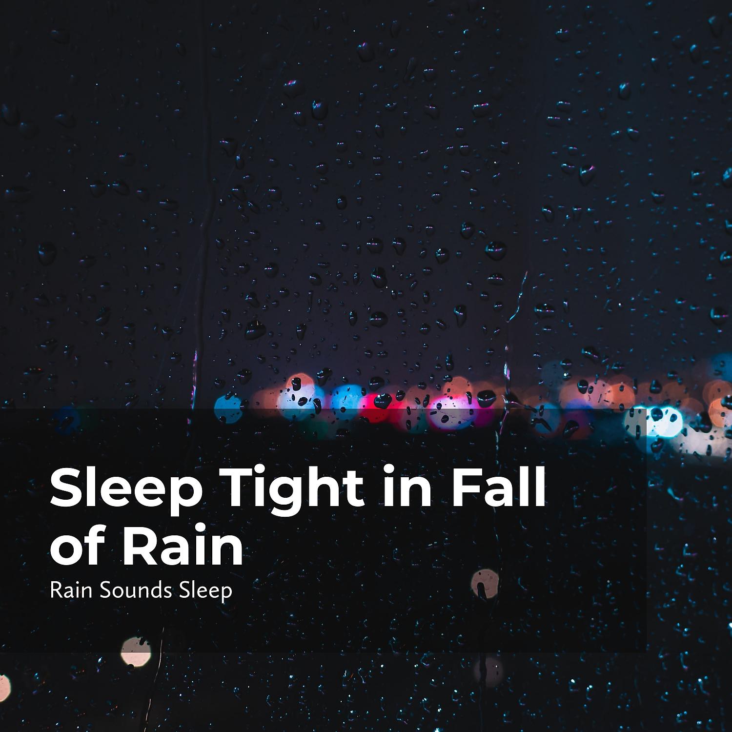 Постер альбома Sleep Tight in Fall of Rain