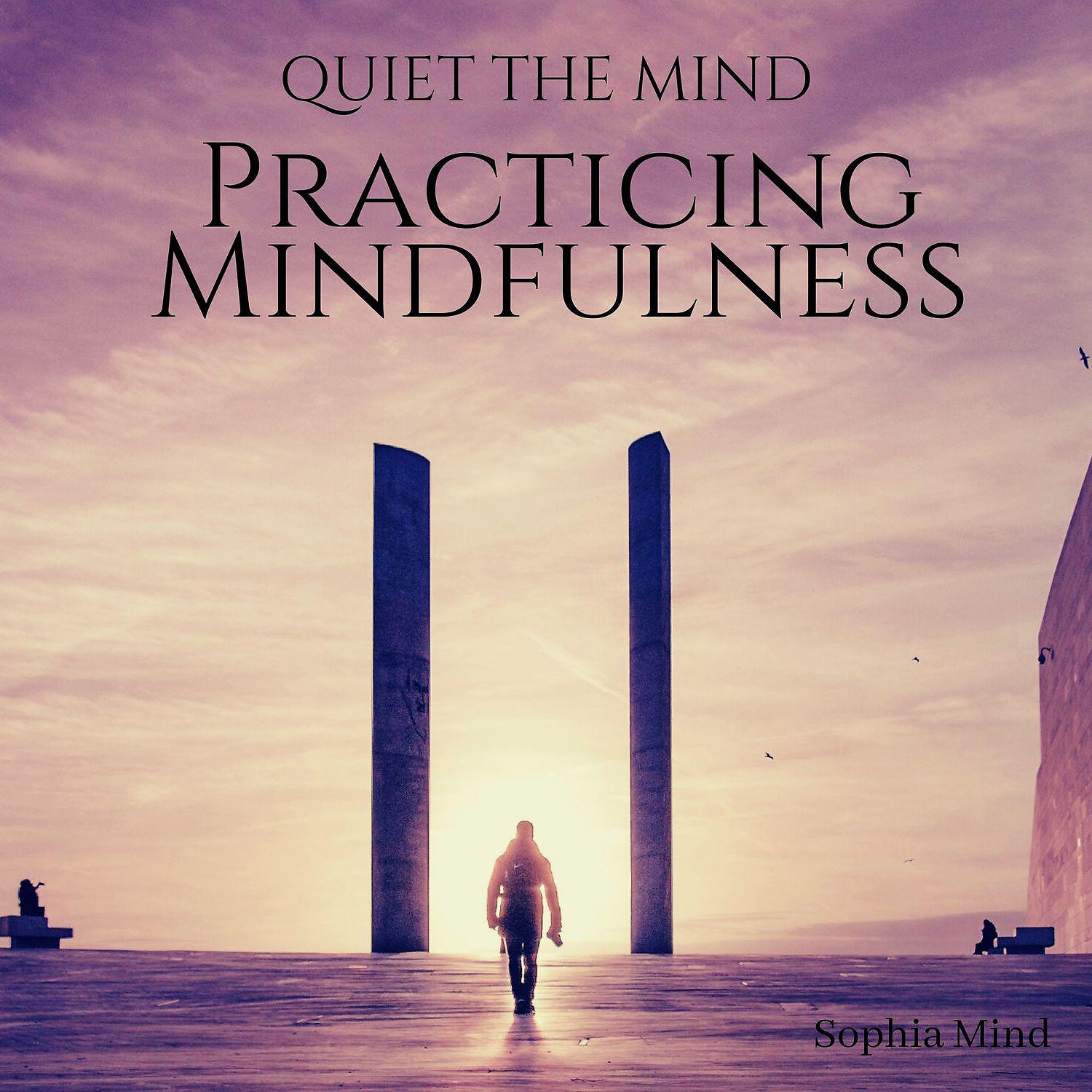 Постер альбома Quiet the Mind: Practicing Mindfulness