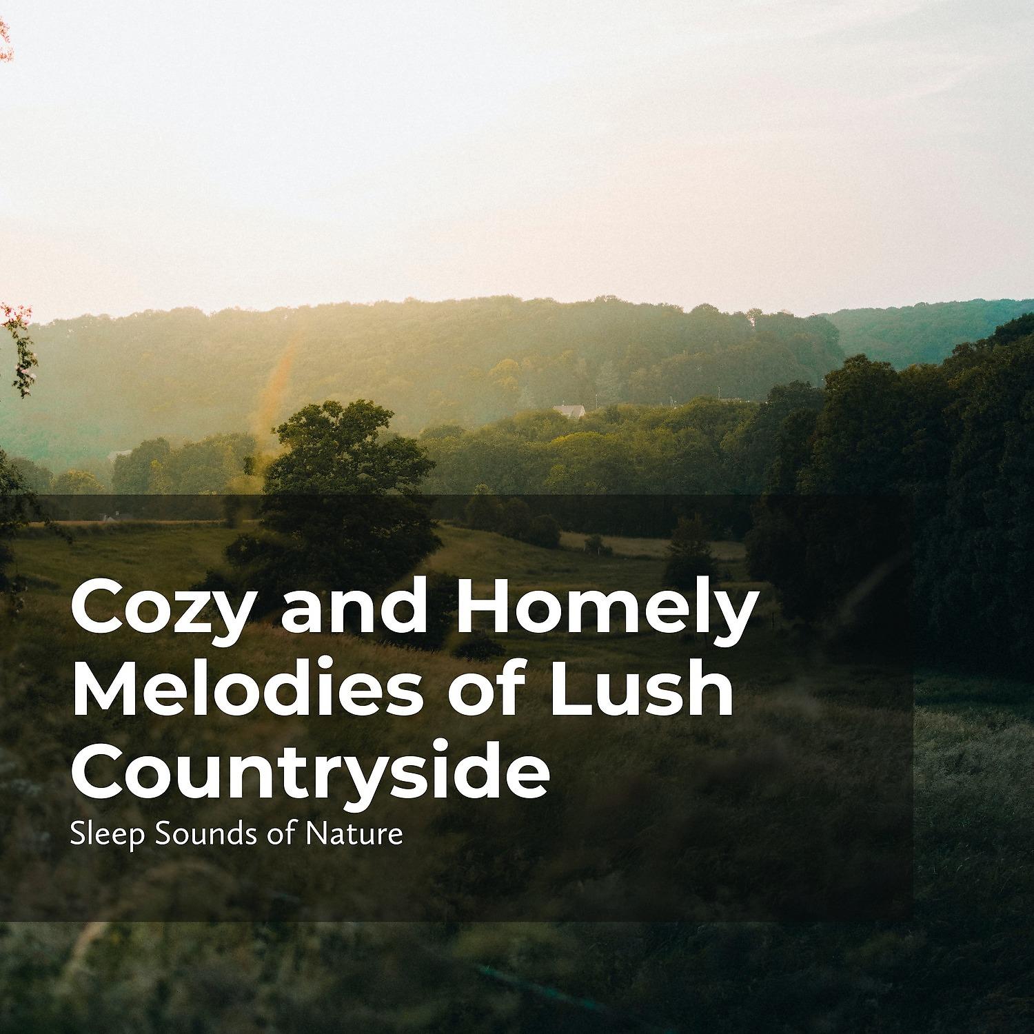 Постер альбома Cozy and Homely Melodies of Lush Countryside