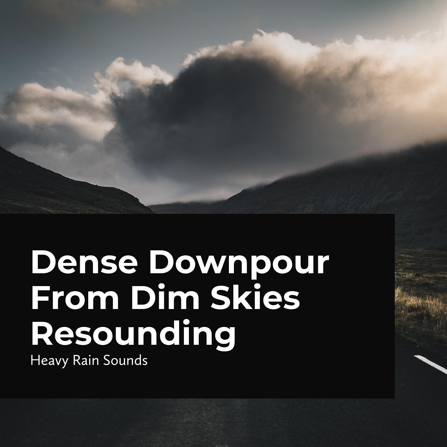 Постер альбома Dense Downpour From Dim Skies Resounding