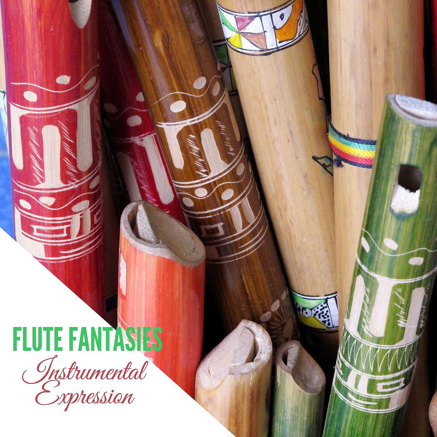 Постер альбома Flute Fantasies: Instrumental Expression
