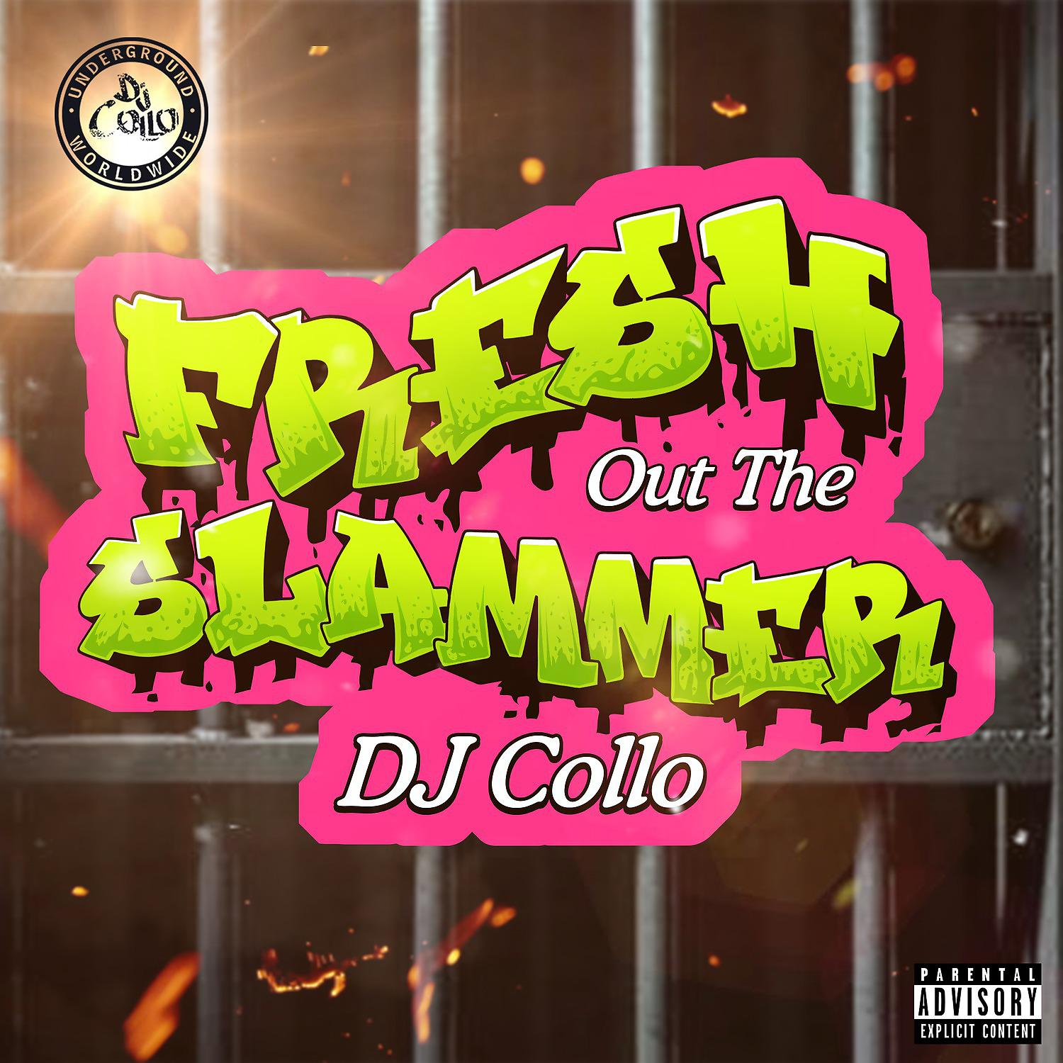 Постер альбома Fresh out the Slammer