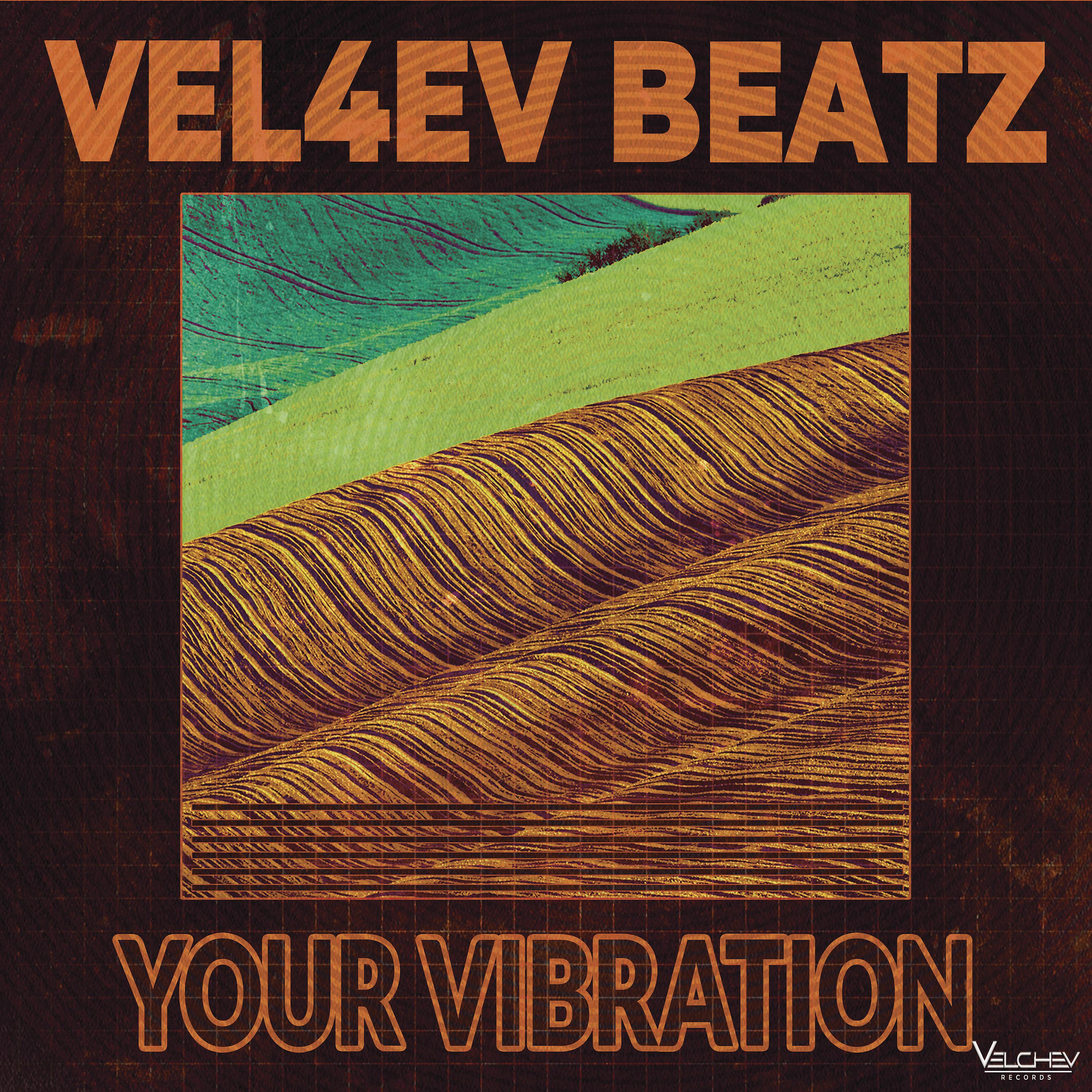 Постер альбома Your Vibration