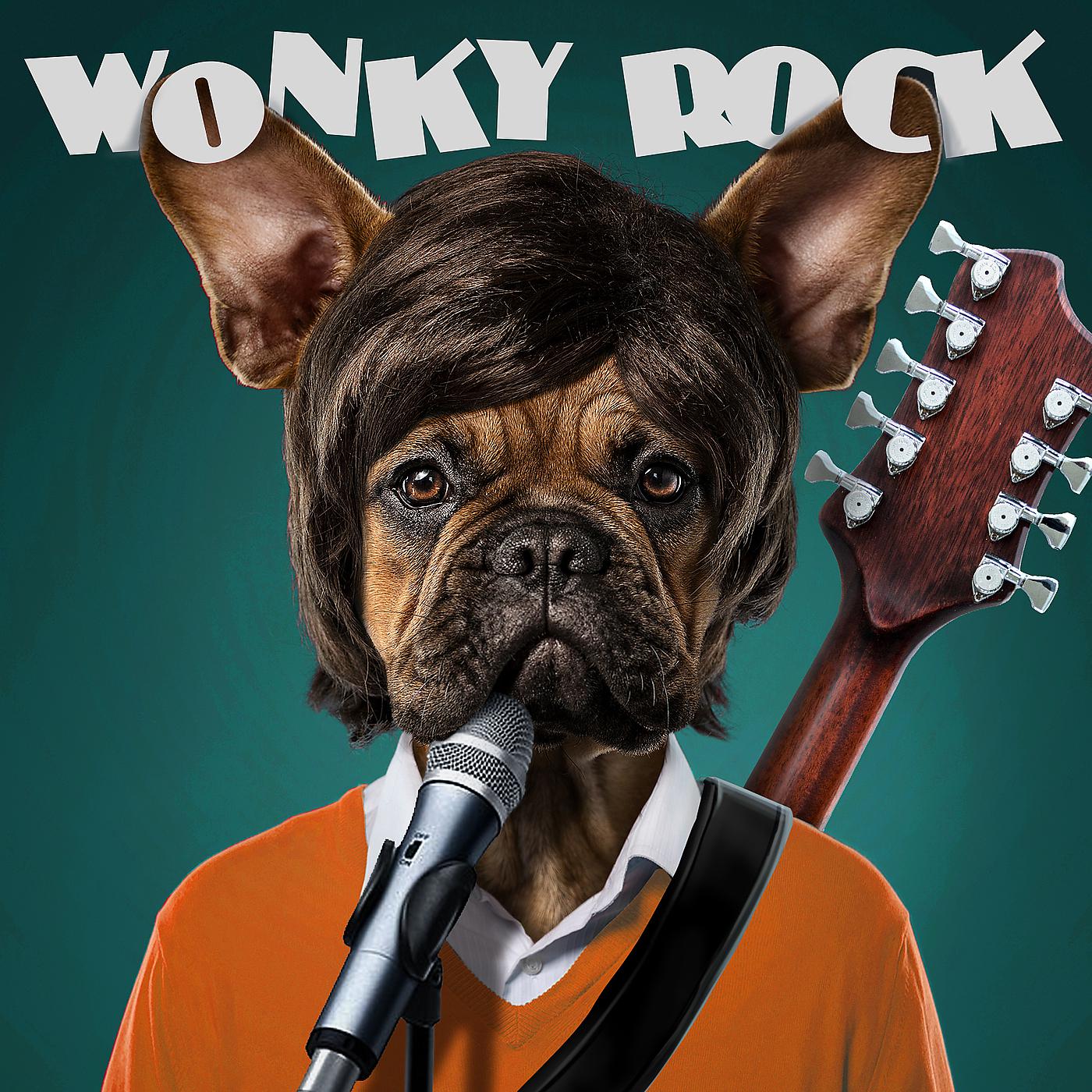 Постер альбома Wonky Rock