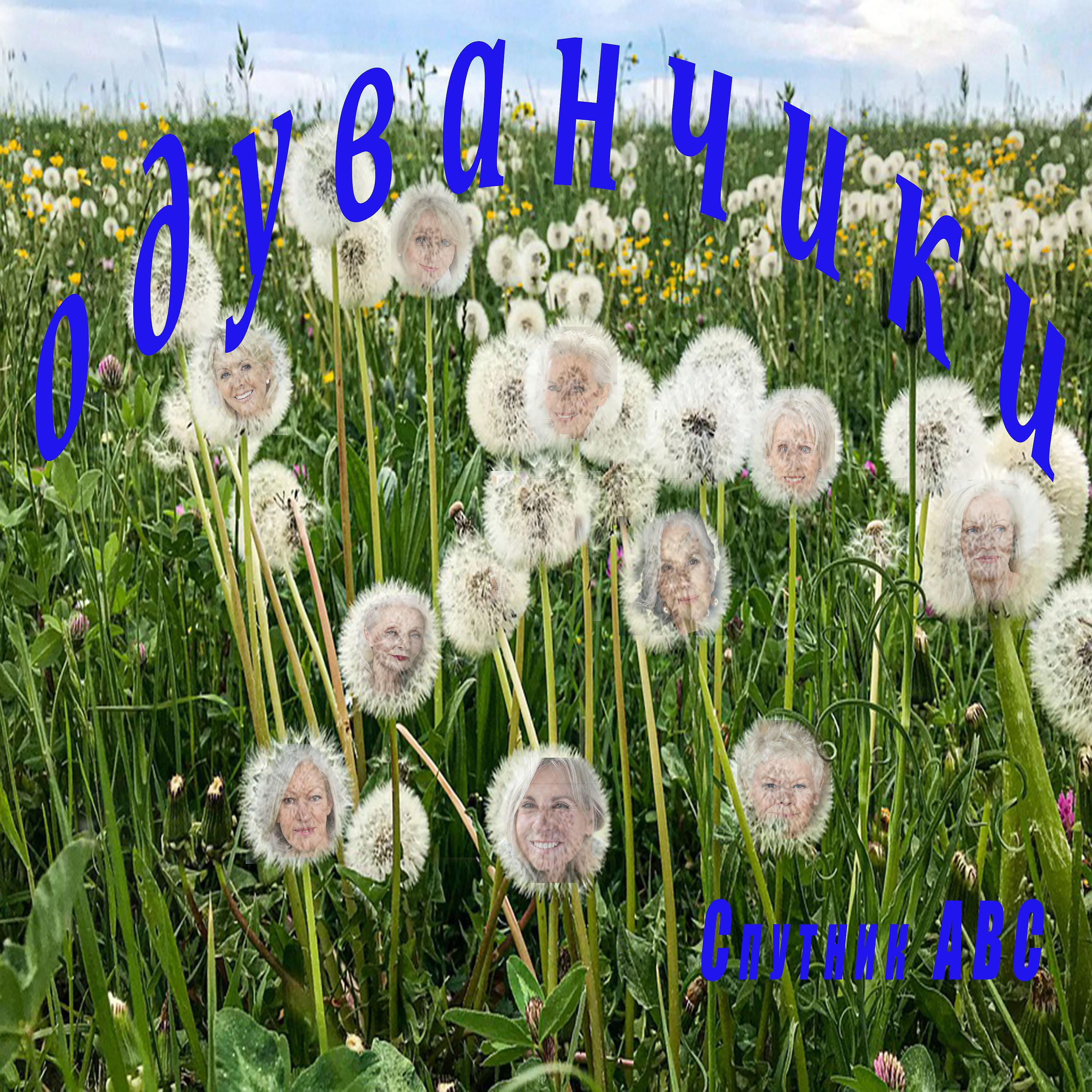 Группа одуванчик. Тима белорусских - одуванчик обложка. Песни одуванчики десантники. Белые одуванчики песня. Одуванчики на гитаре.