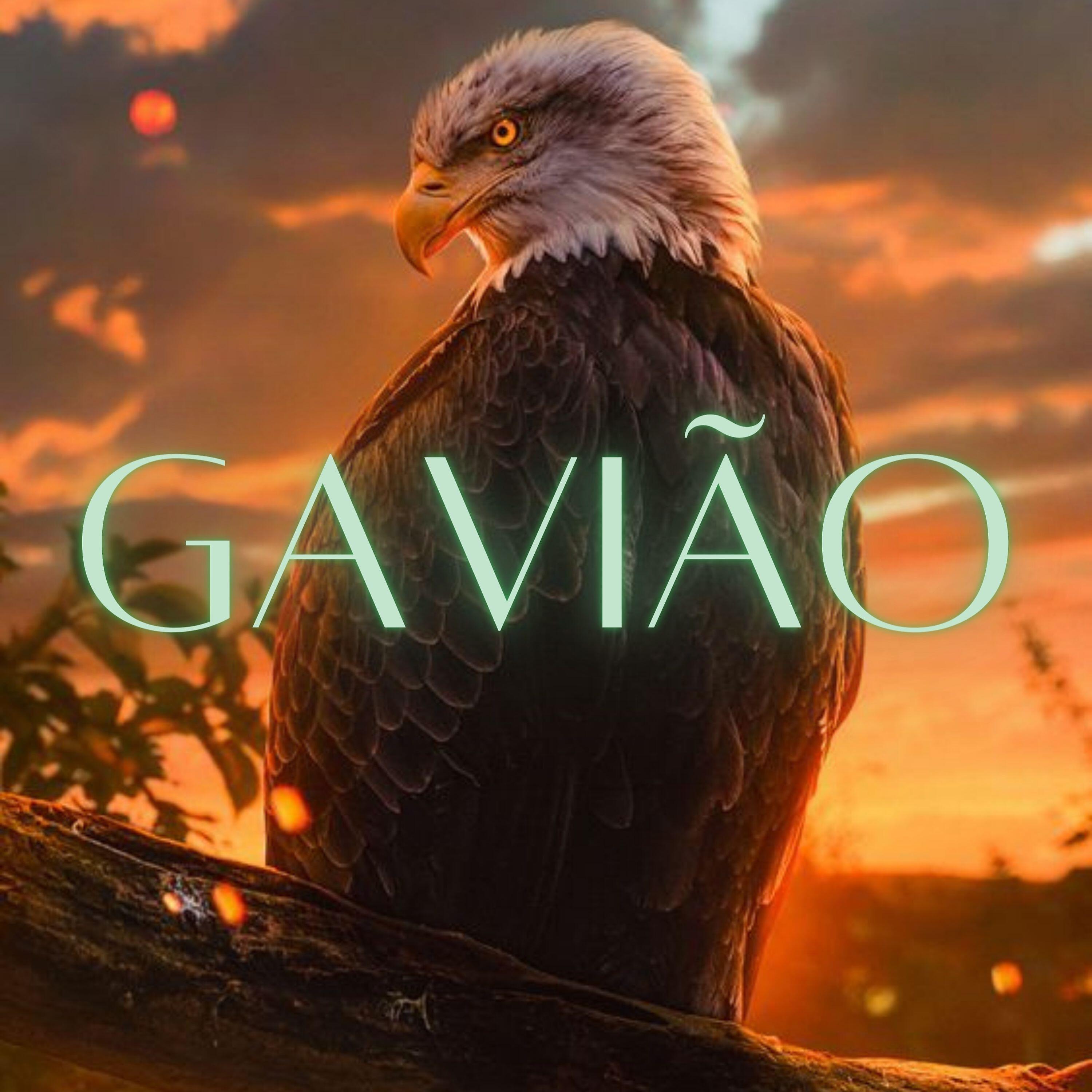 Cassiano - Gavião