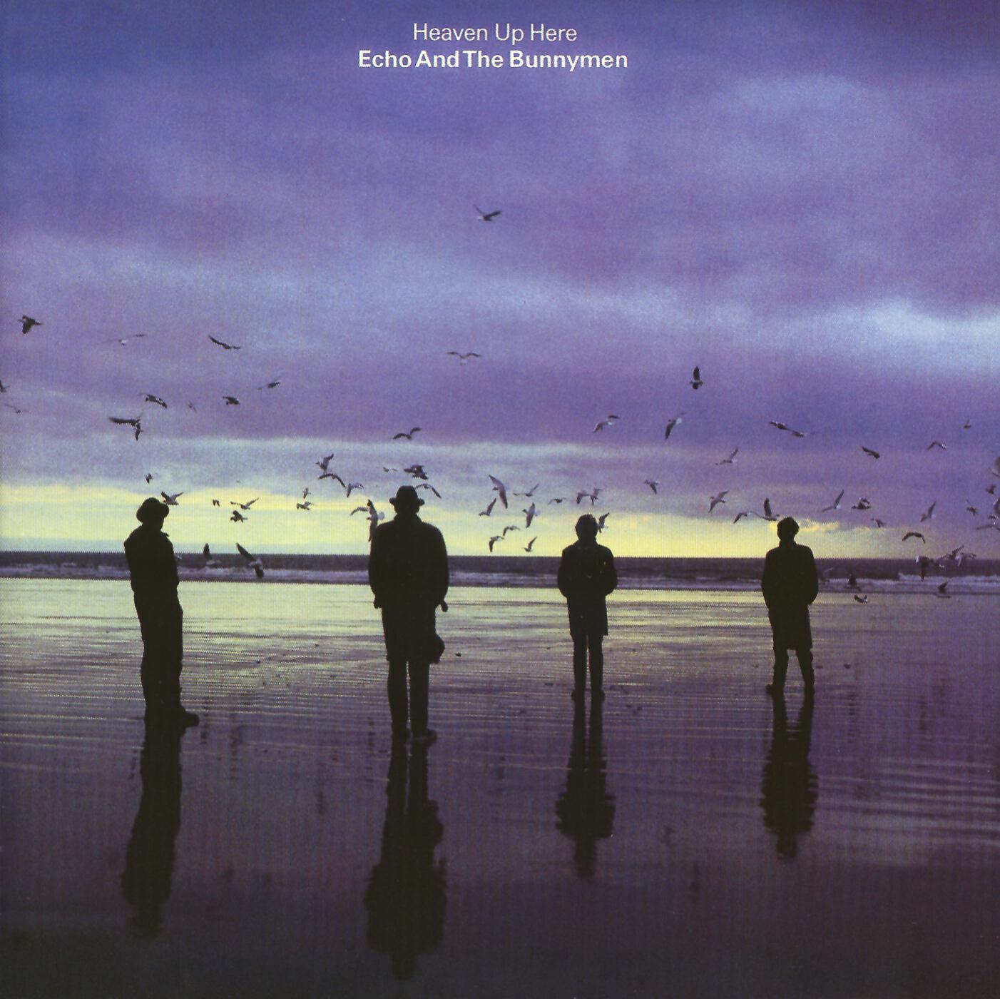 Echo And The Bunnymen - Show of Strength