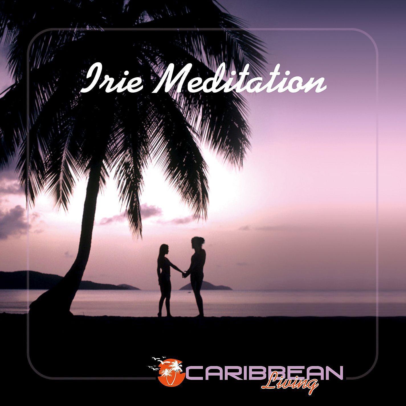 Постер альбома Irie Meditation