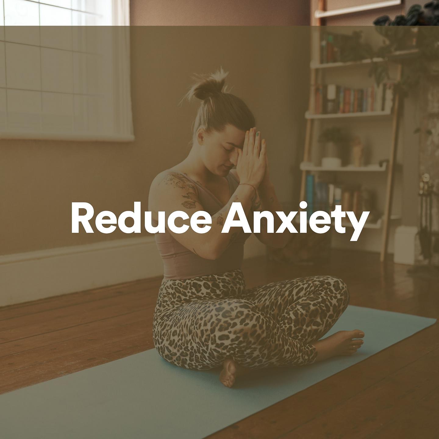 Постер альбома Reduce Anxiety