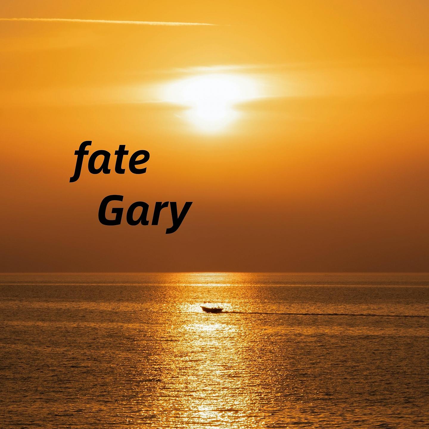 Постер альбома fate