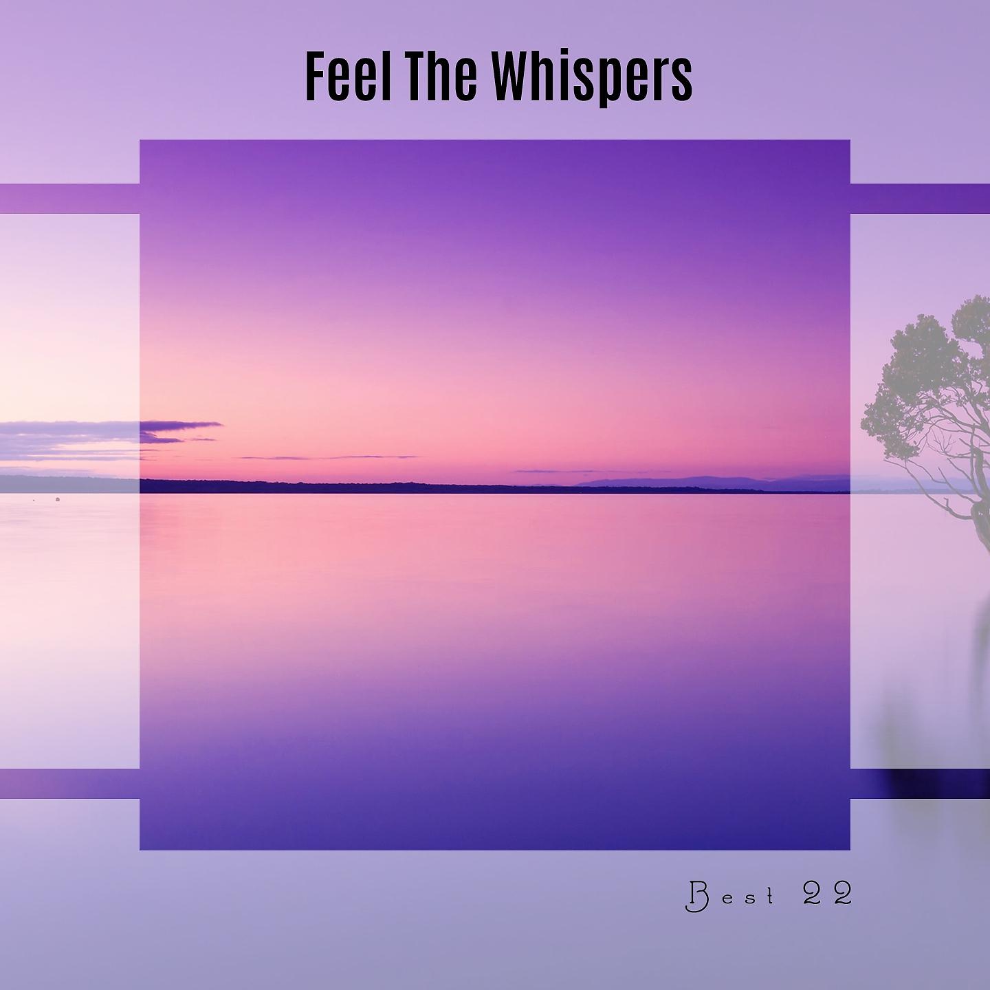 Постер альбома Feel The Whispers Best 22