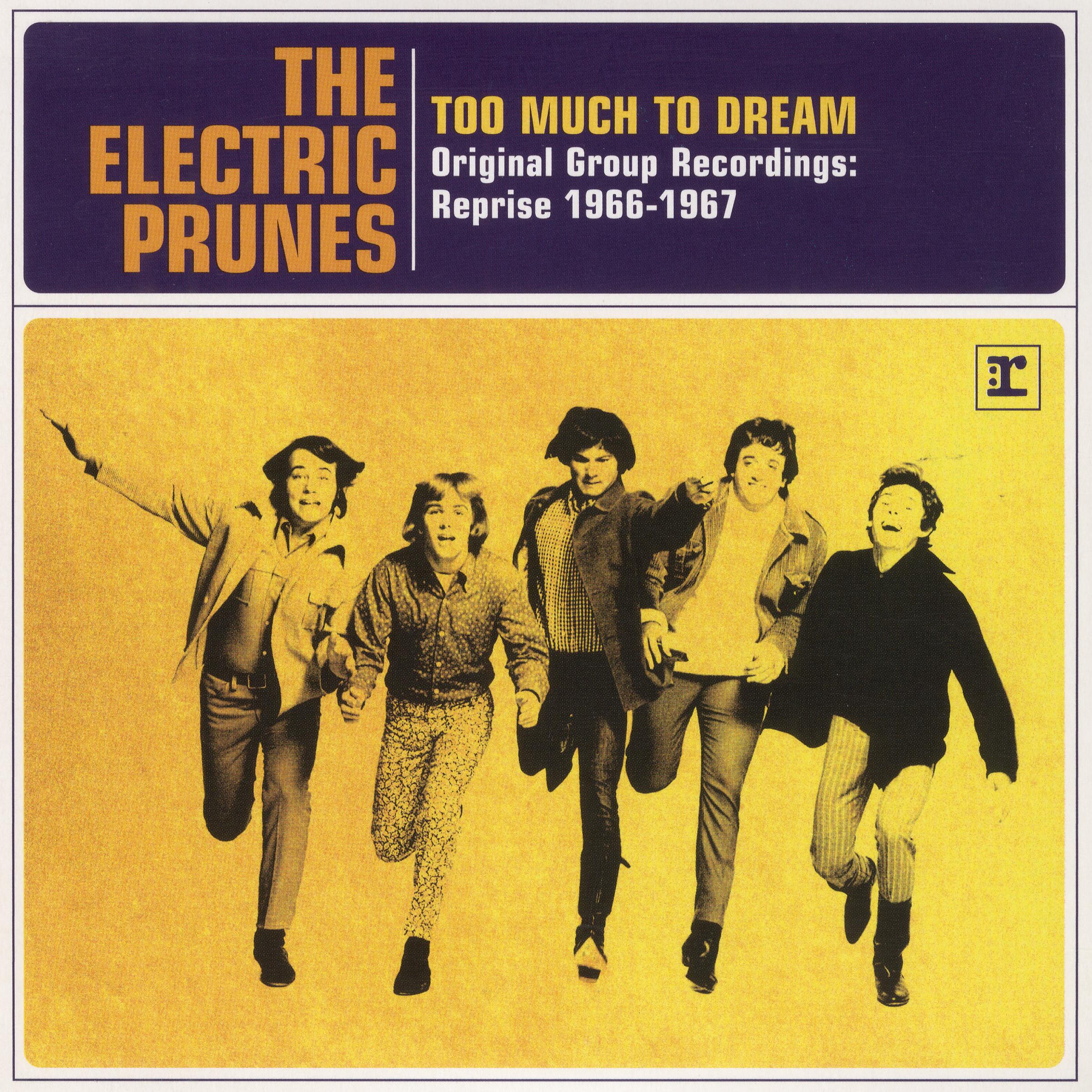 Постер альбома Too Much To Dream - Original Group Recordings: Reprise 1966-1967