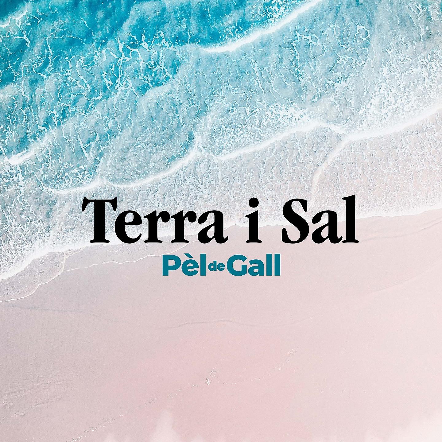 Постер альбома Terra i sal