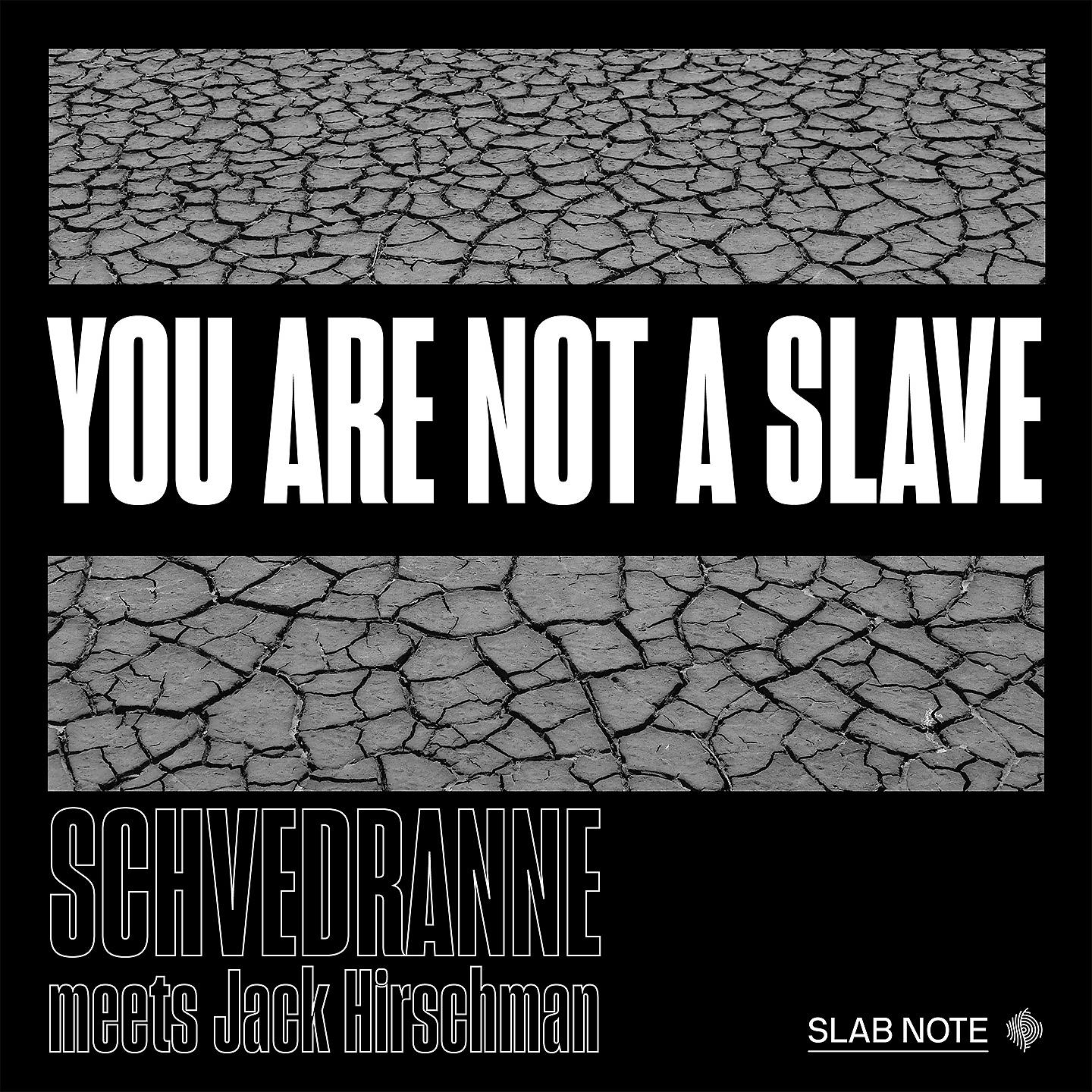 Постер альбома You Are Not A Slave