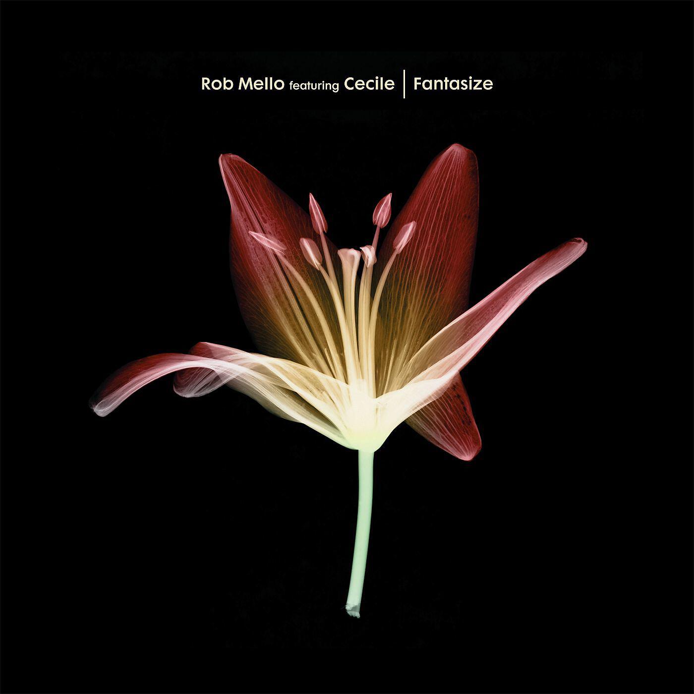 Rob Mello - Fantasize (Instrumental Club Mix) [feat. Cecile] (Instrumental Club Mix)