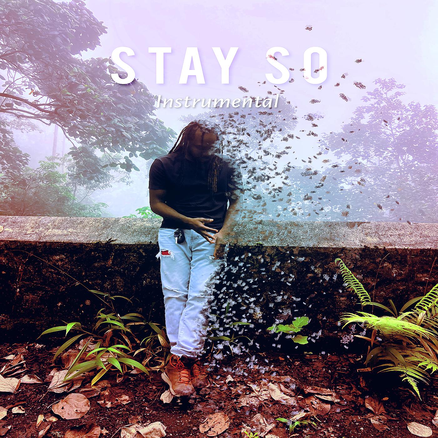 Постер альбома Stay so (Instrumental)