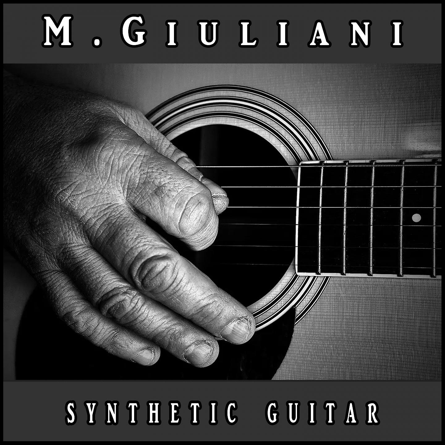 Постер альбома Synthetic Guitar