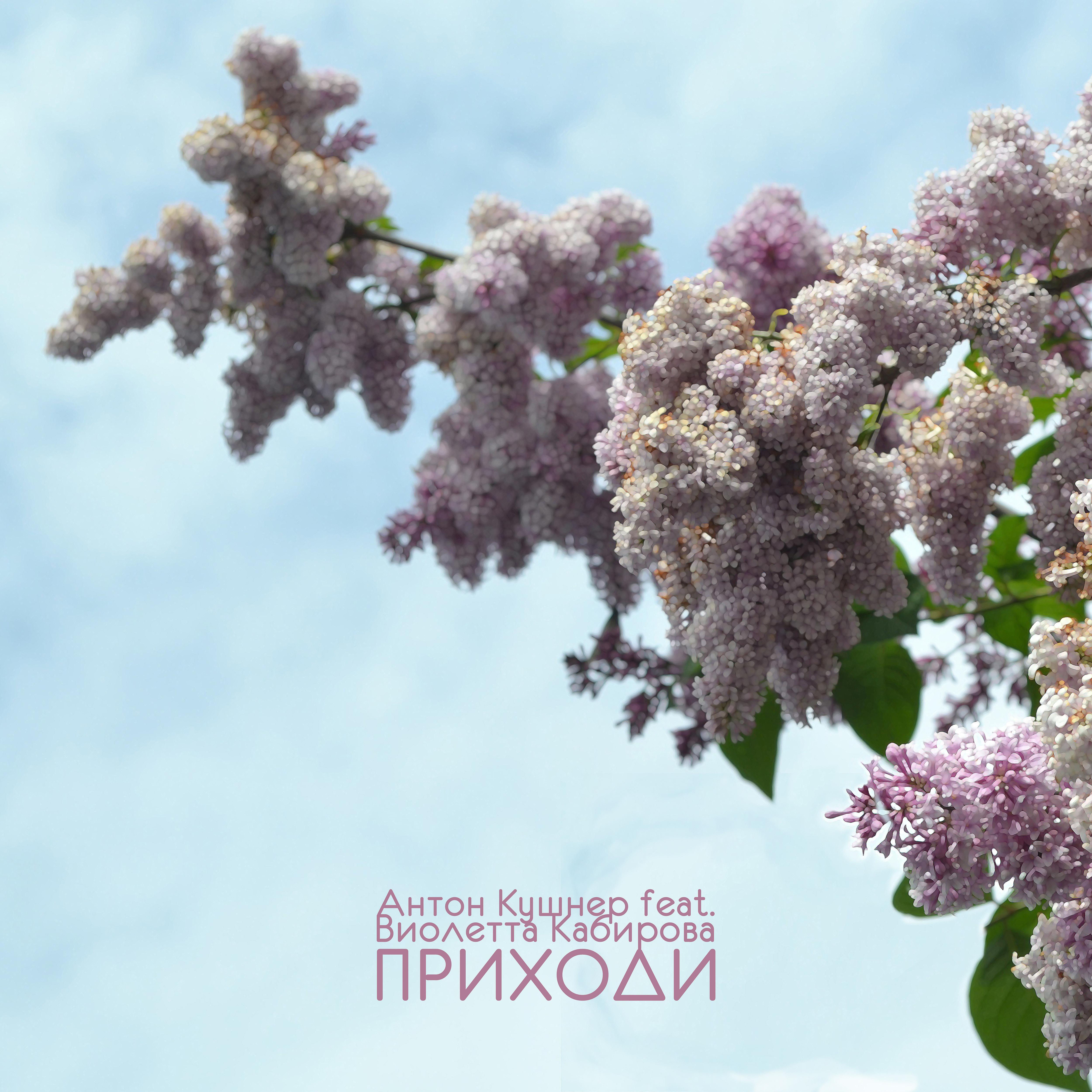 Постер альбома Приходи (feat. Виолетта Кабирова)