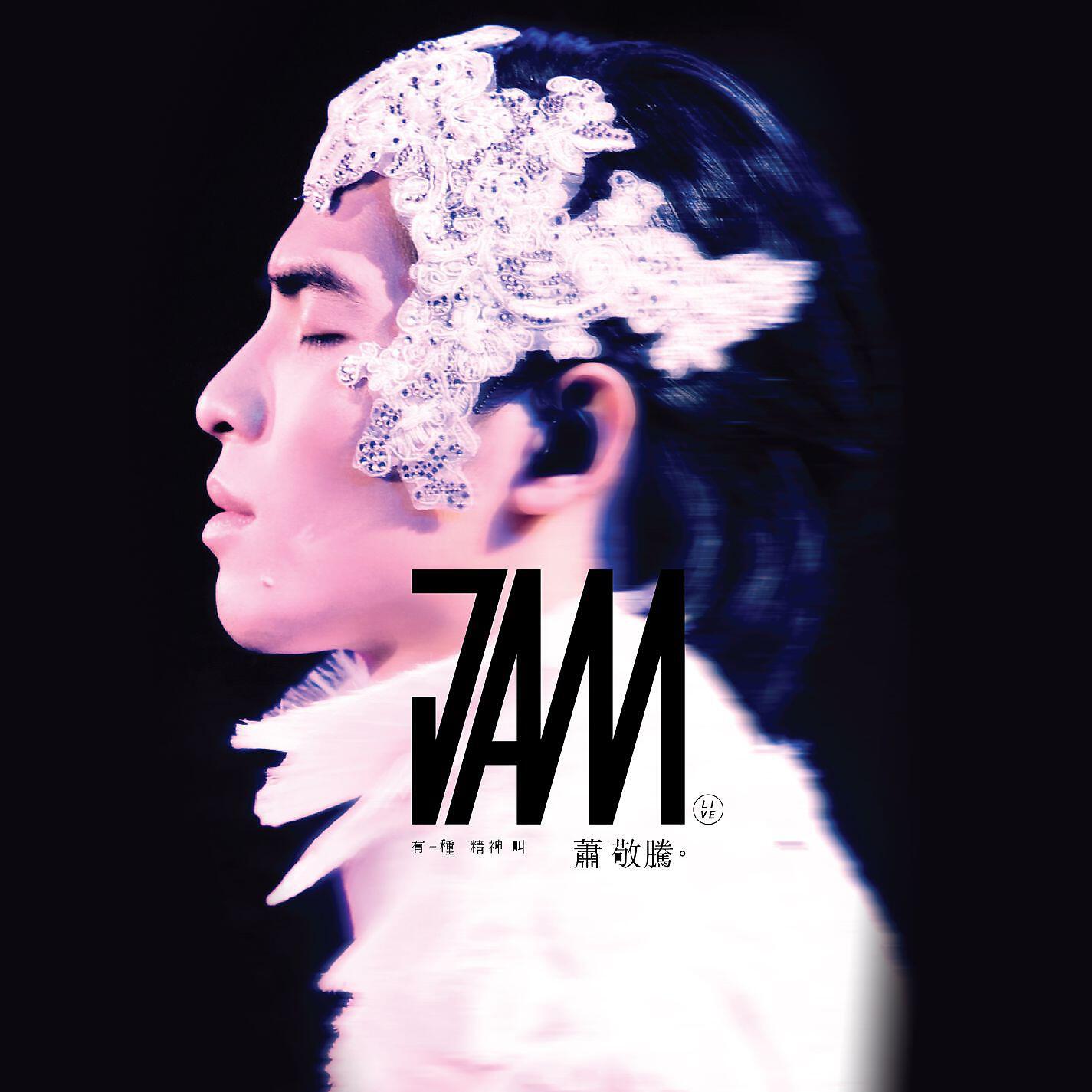 Jam Hsiao - It's My Show (2012 Taipei Concert Version)