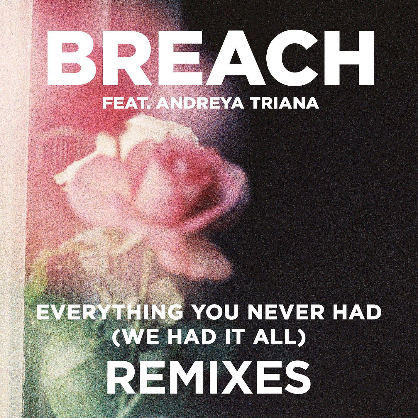 Постер альбома Everything You Never Had (We Had It All) (feat. Andreya Triana) [Remix Package]