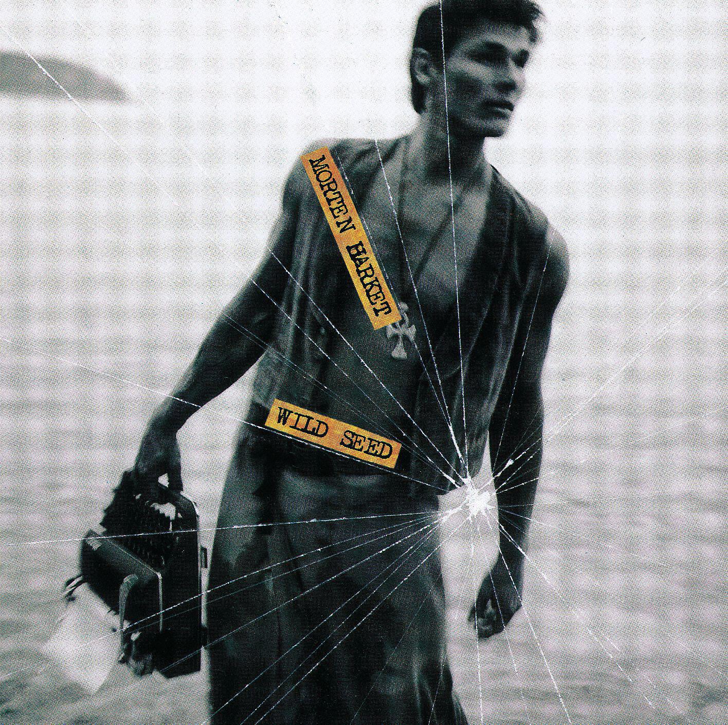Morten Harket - Half in Love Half in Hate