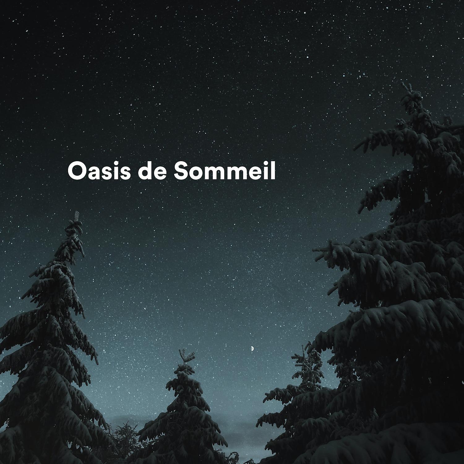 Постер альбома Oasis de sommeil