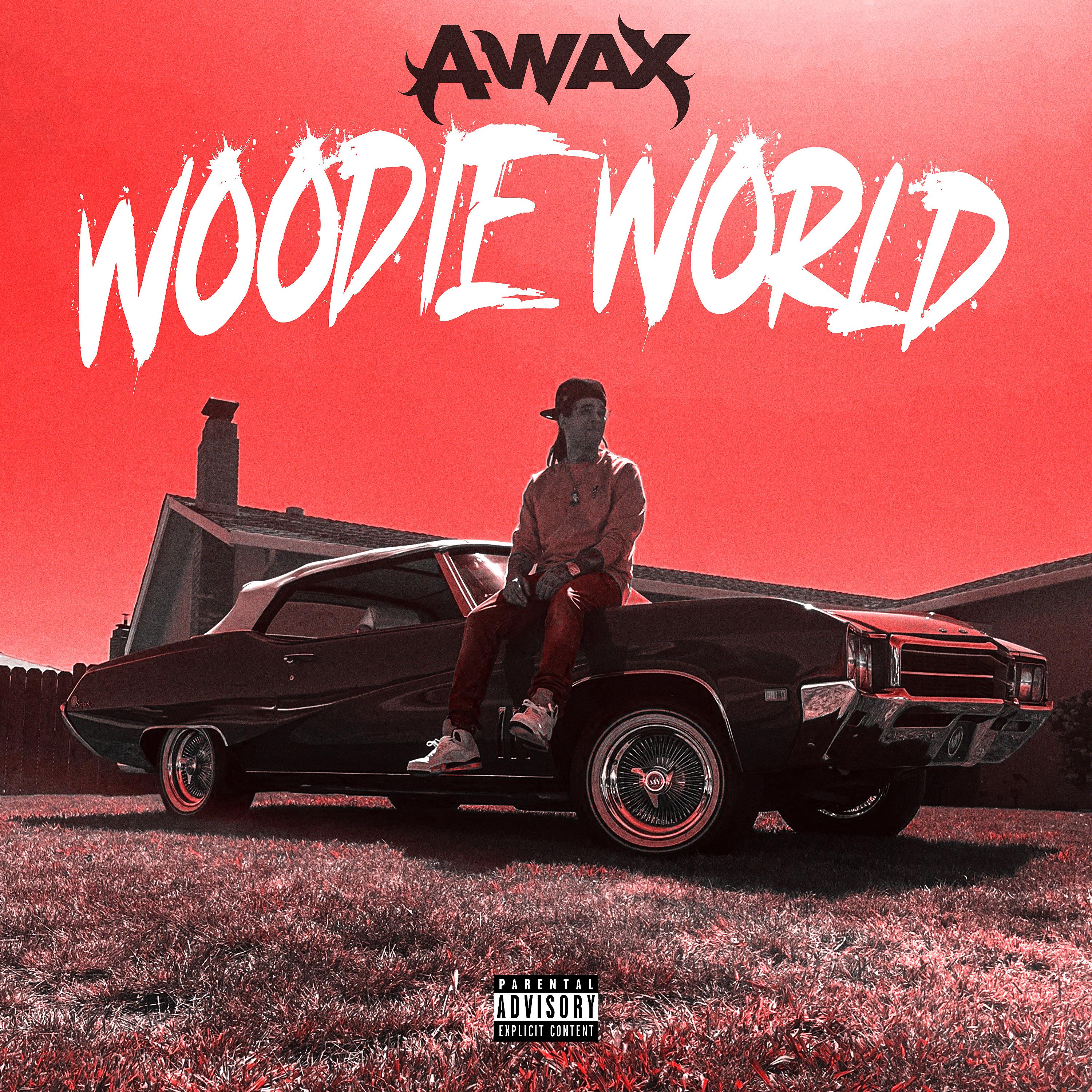 Постер альбома Woodie World