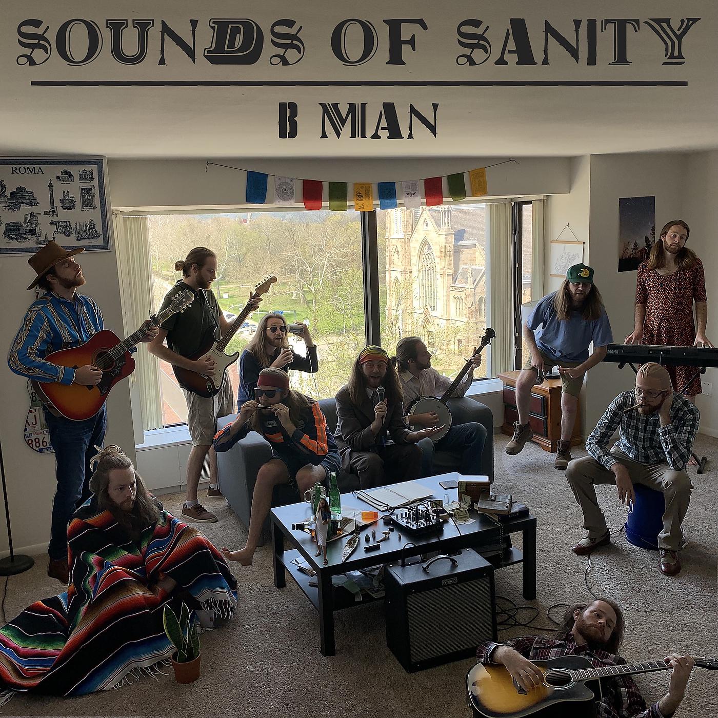 Постер альбома Sounds of Sanity