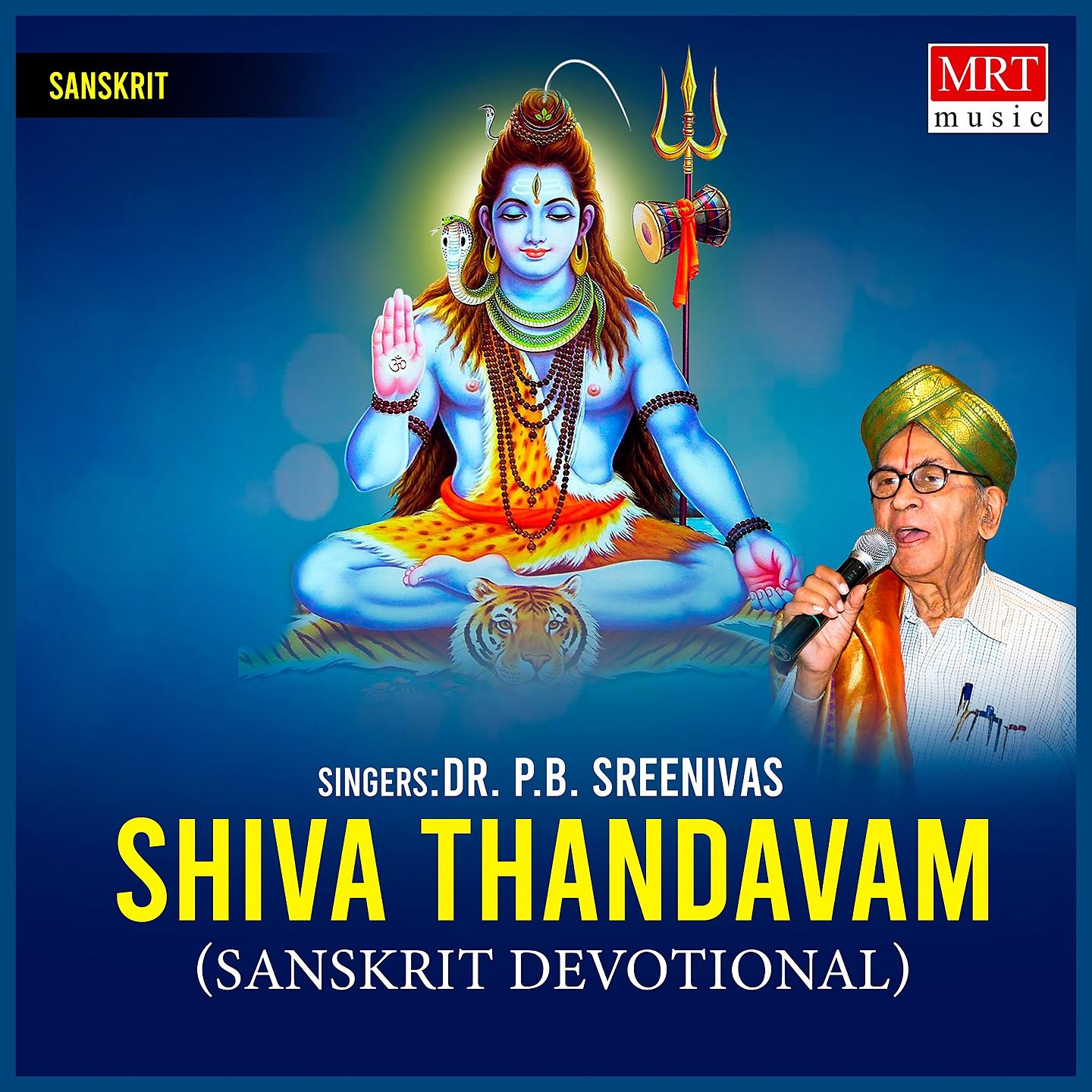 Постер альбома Shiva Thandavam