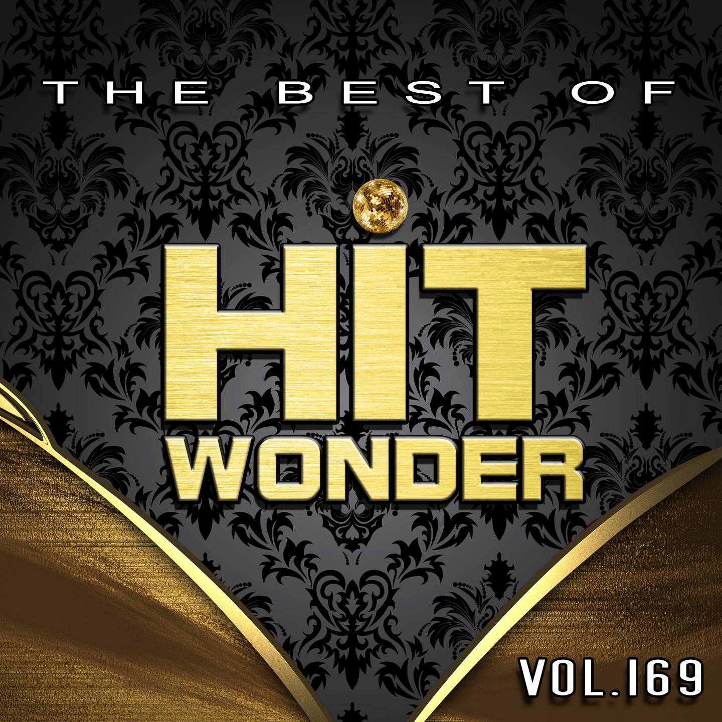 Постер альбома Hit Wonder: The Best of, Vol. 169