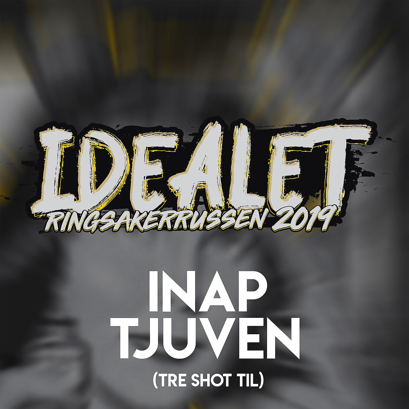 Постер альбома Idealet (Tre Shot Til) - Ringsakerrussen 2019