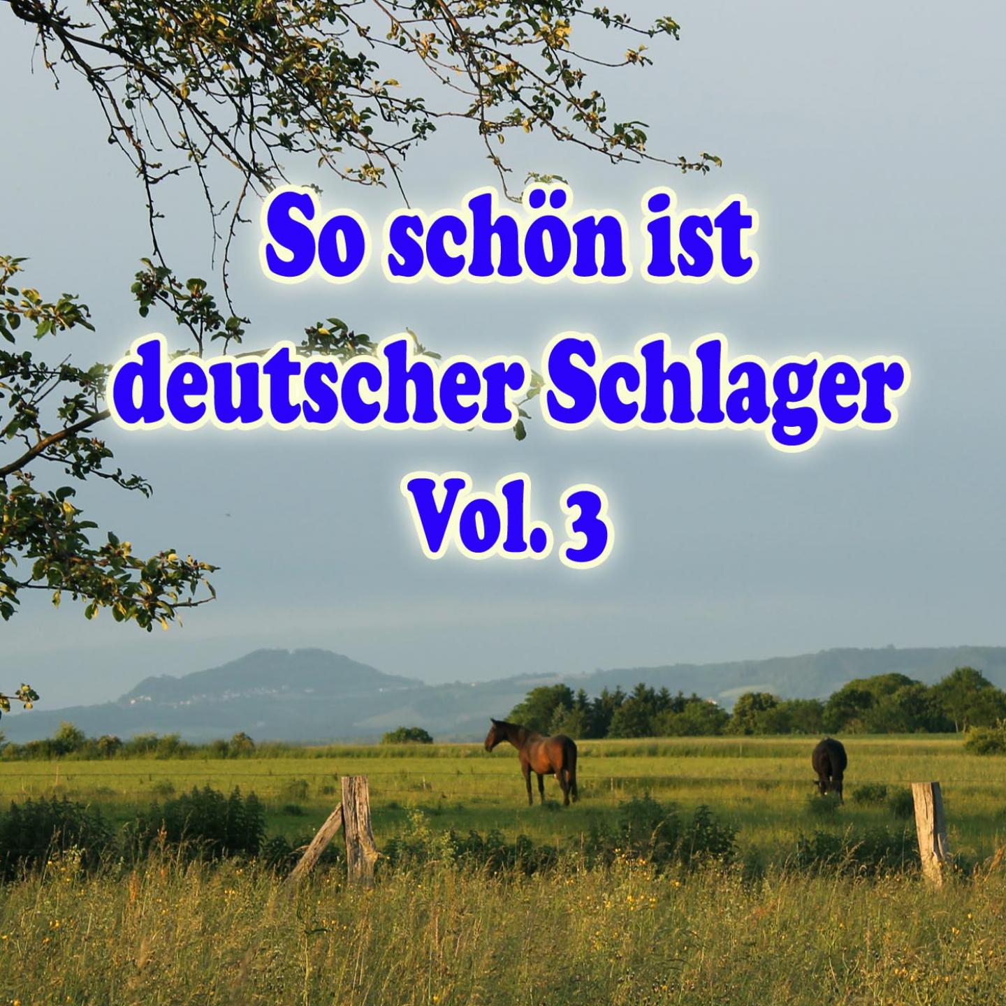 Постер альбома So schön ist deutscher Schlager, Vol. 3