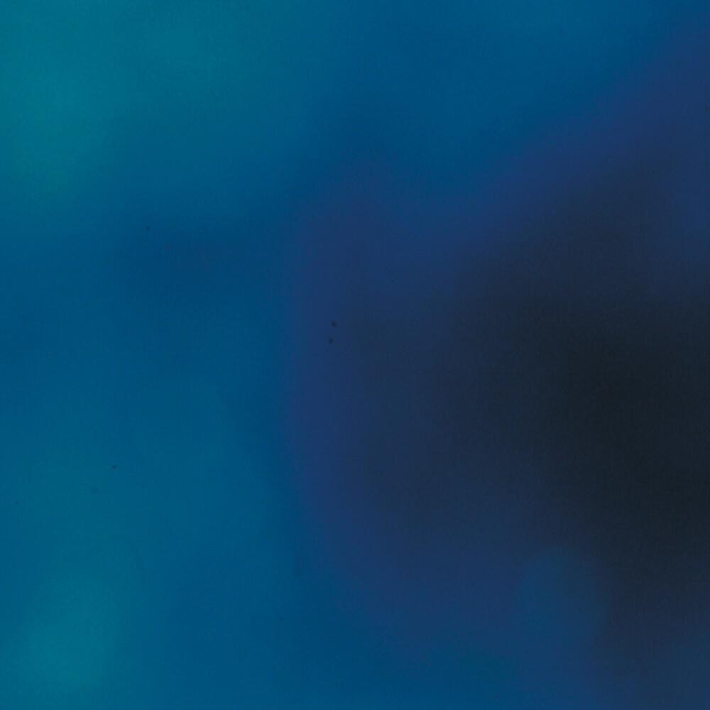 Wesley Plass - Sea Cluster