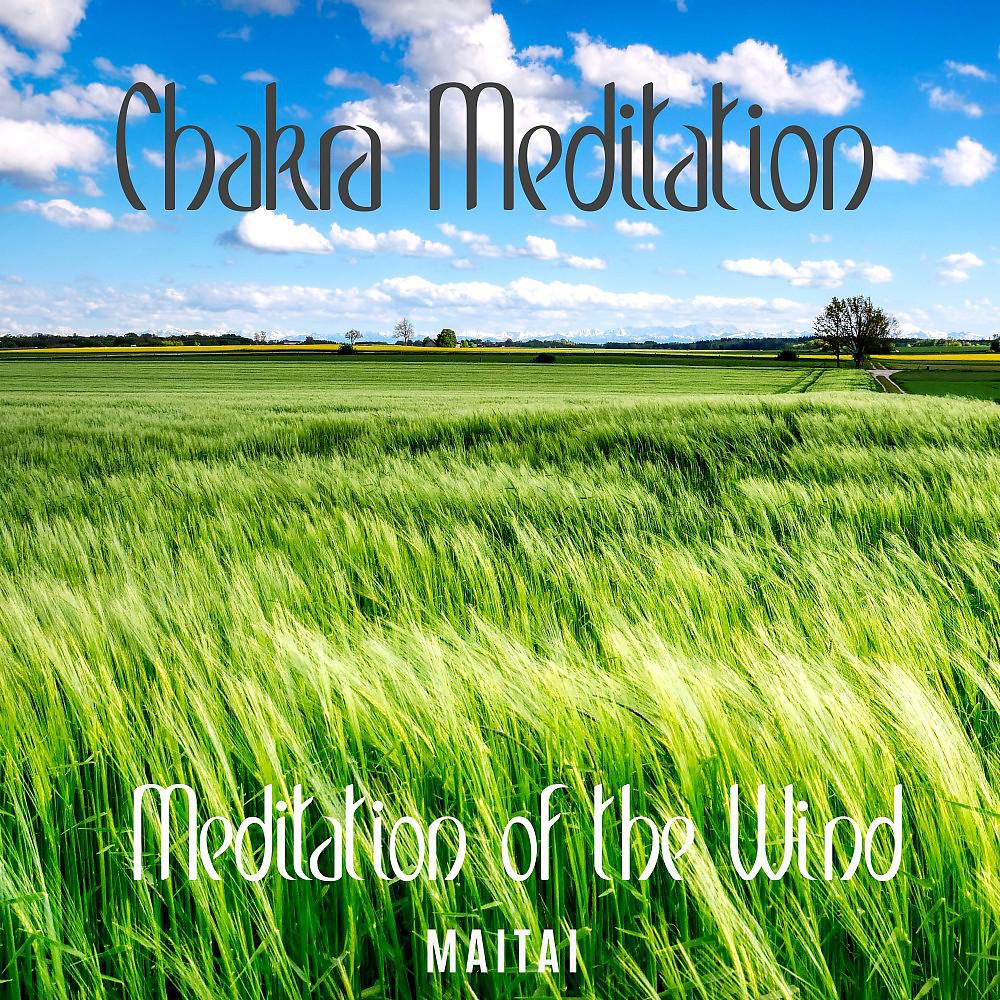 Постер альбома Meditation of the Wind