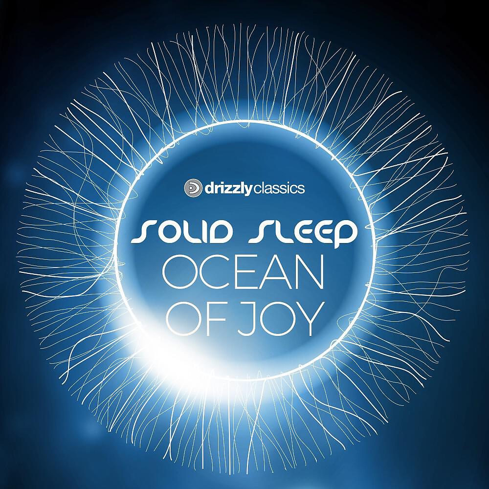 Solid Sleep - Skydiver